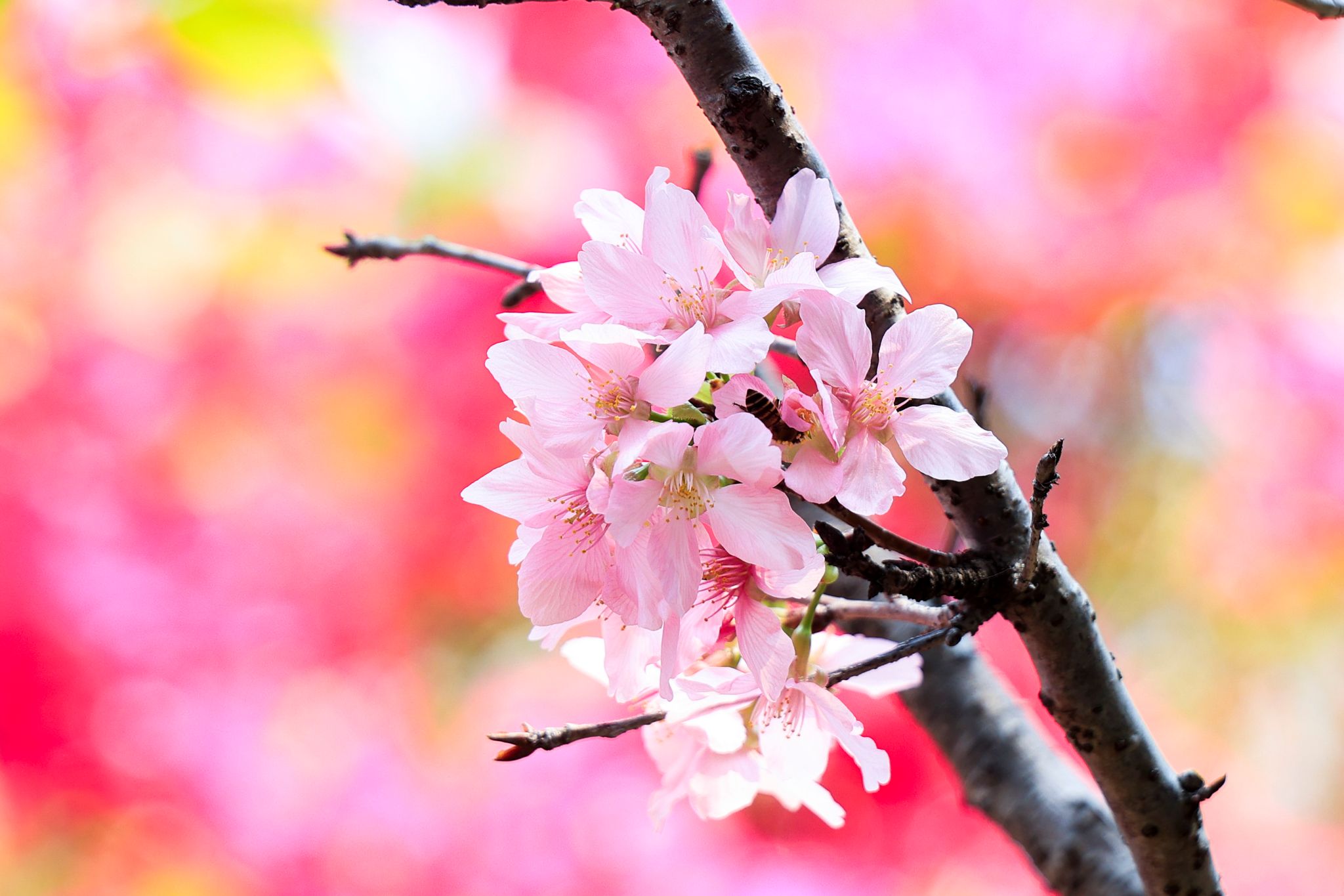 E41BD98EF63D0192D652E613DAE_B58ABE41_3C971 E41BD98EF63D0192D652E613DAE_B58ABE41_3C971