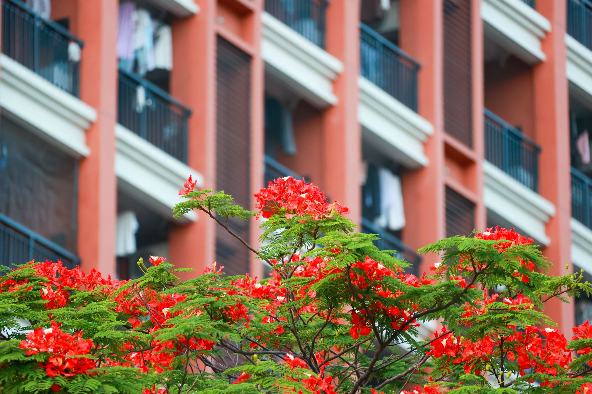 47ABB8A4D49C74BC8AAFD596995_543306AF_727AB 47ABB8A4D49C74BC8AAFD596995_543306AF_727AB