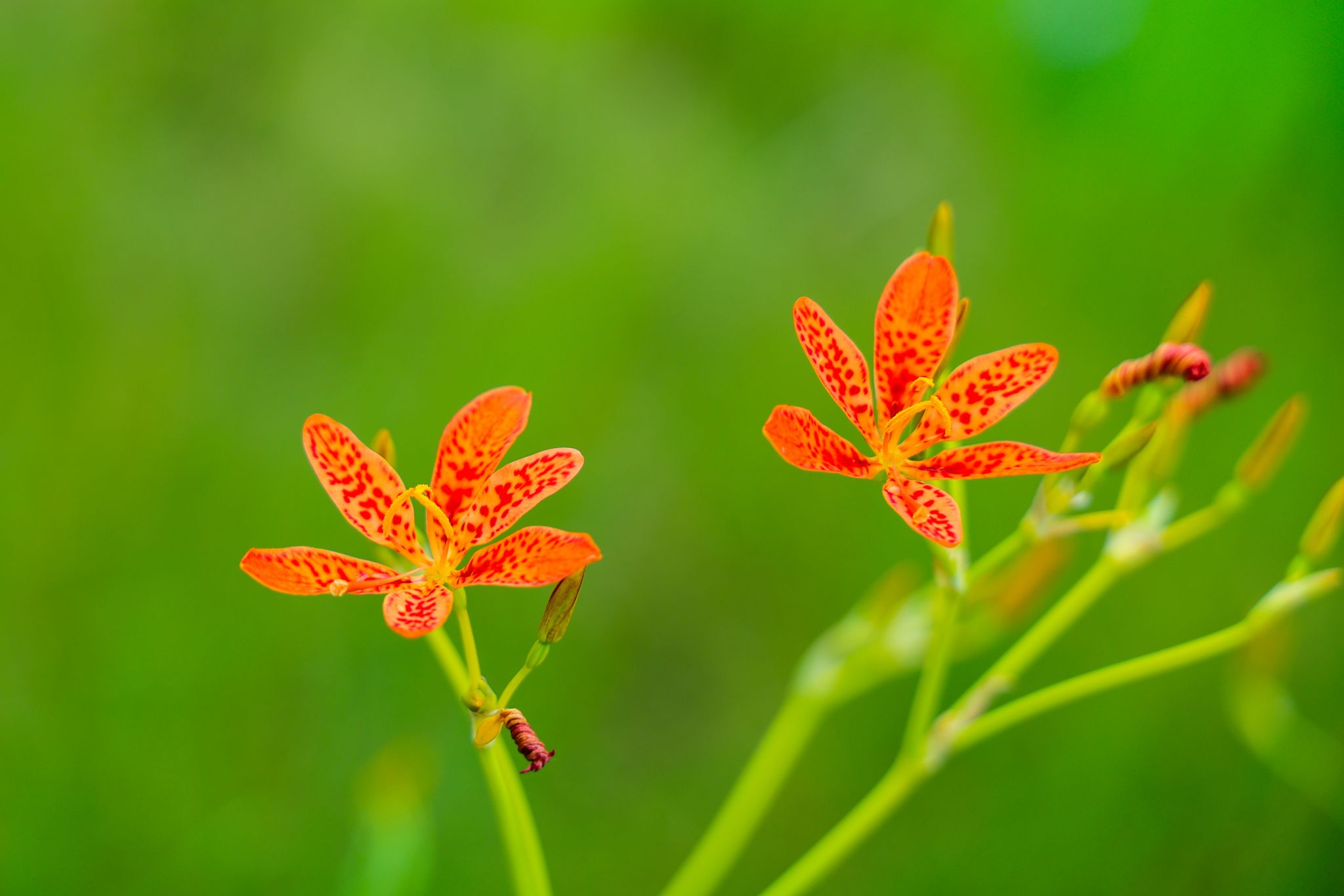 0B3225449FEE4B9CD2EAED24CC6_CF43E870_24153 0B3225449FEE4B9CD2EAED24CC6_CF43E870_24153