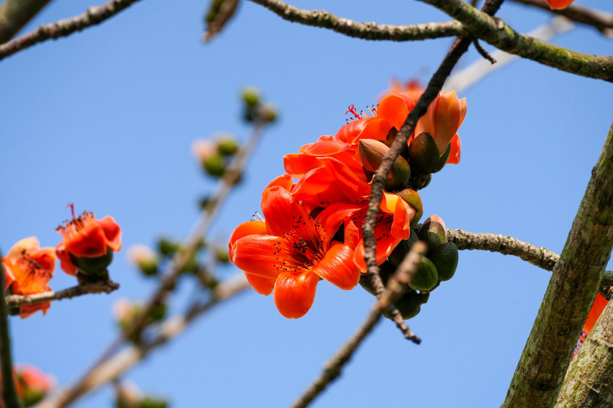 D5F0DAEEE8969DC03CE982E18CD_13A112BB_3D0CF D5F0DAEEE8969DC03CE982E18CD_13A112BB_3D0CF