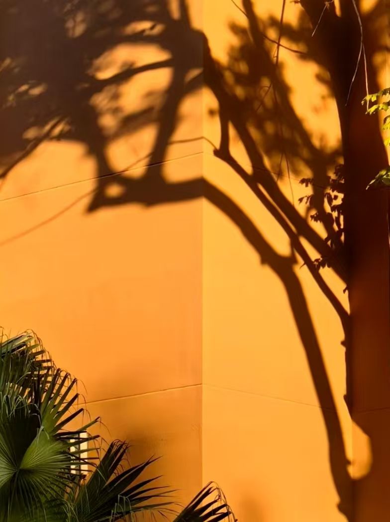 A1CB8112977CF57A6497A78B9BC_D732E3C4_1316A A1CB8112977CF57A6497A78B9BC_D732E3C4_1316A