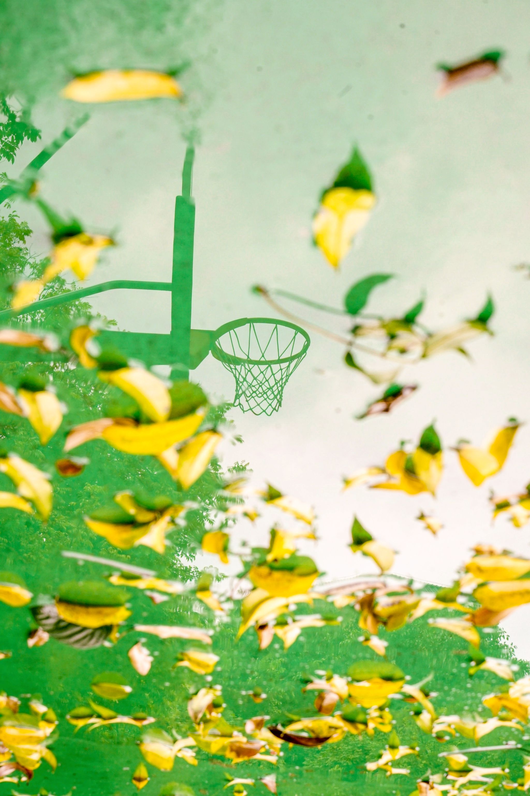 10B4B9EF76C1EDAEC5173839F83_81F5D6D4_84EE3 10B4B9EF76C1EDAEC5173839F83_81F5D6D4_84EE3