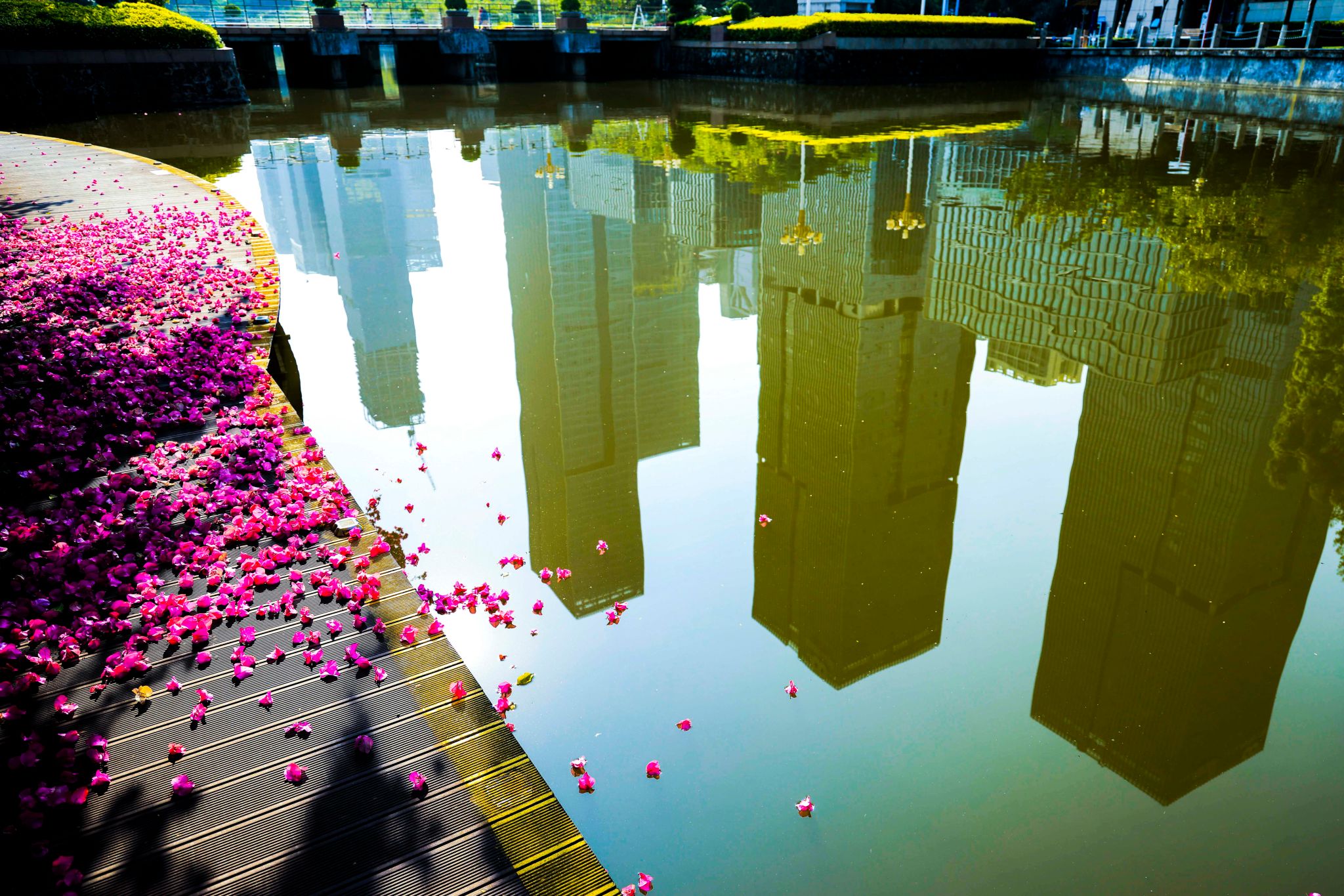 3D310C5EC782B3A07C805C16DEF_24224A93_820DD 3D310C5EC782B3A07C805C16DEF_24224A93_820DD