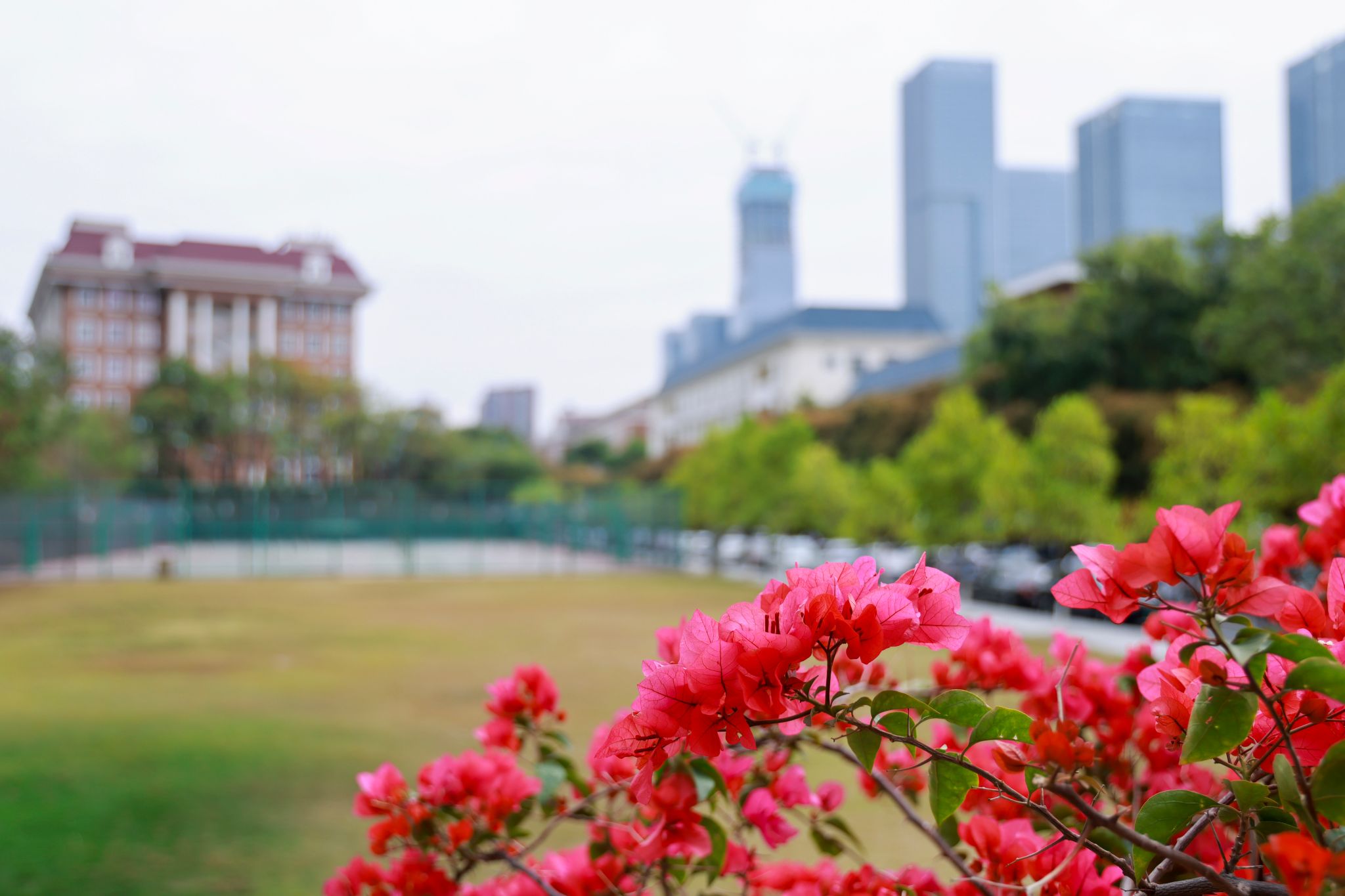 3A6E8528144E488EBC2FD003177_5E1757B6_3328C 3A6E8528144E488EBC2FD003177_5E1757B6_3328C