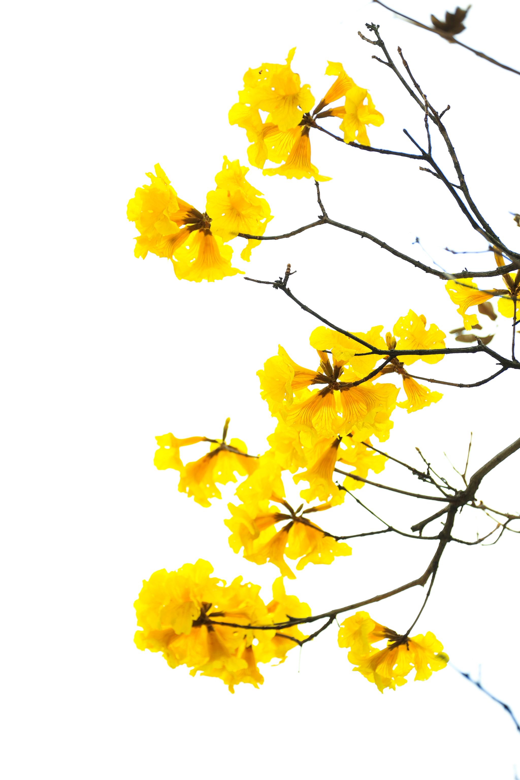 E3AC88FBFB00325F088A36B744F_05615FEC_52F1D E3AC88FBFB00325F088A36B744F_05615FEC_52F1D