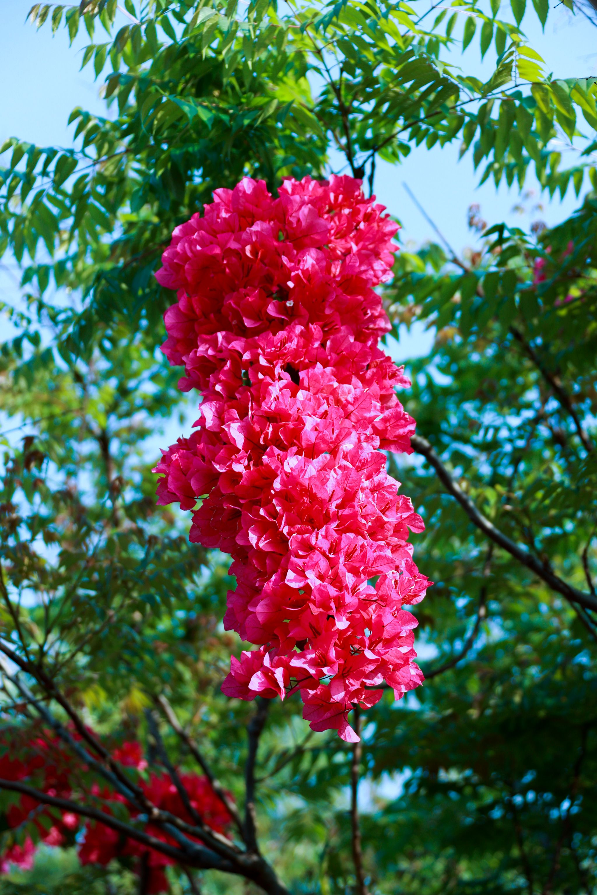 A63363A84EAB18F076BC1A9D9B6_D5837E01_C8740 A63363A84EAB18F076BC1A9D9B6_D5837E01_C8740