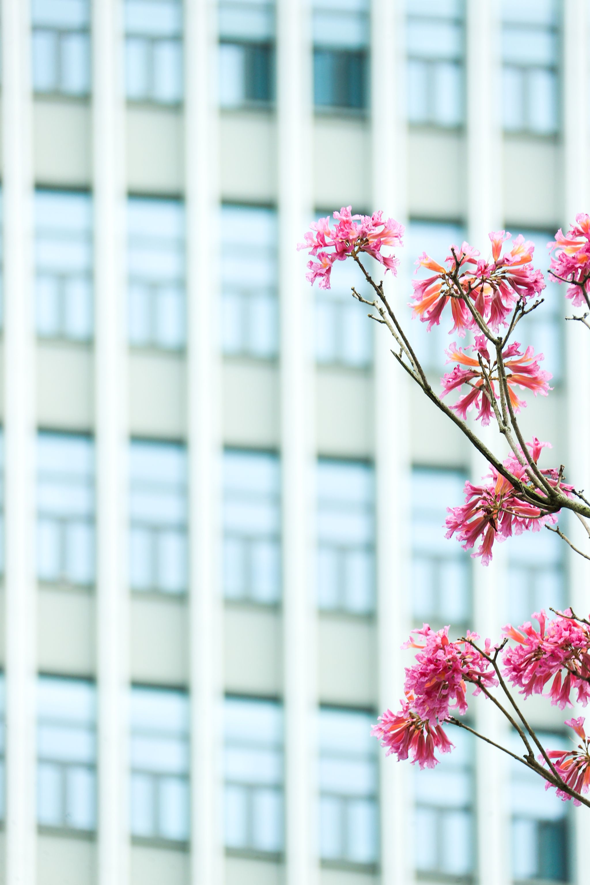 E8D5582FDF918D6E4249FA4E59C_27FE9E16_65197 E8D5582FDF918D6E4249FA4E59C_27FE9E16_65197