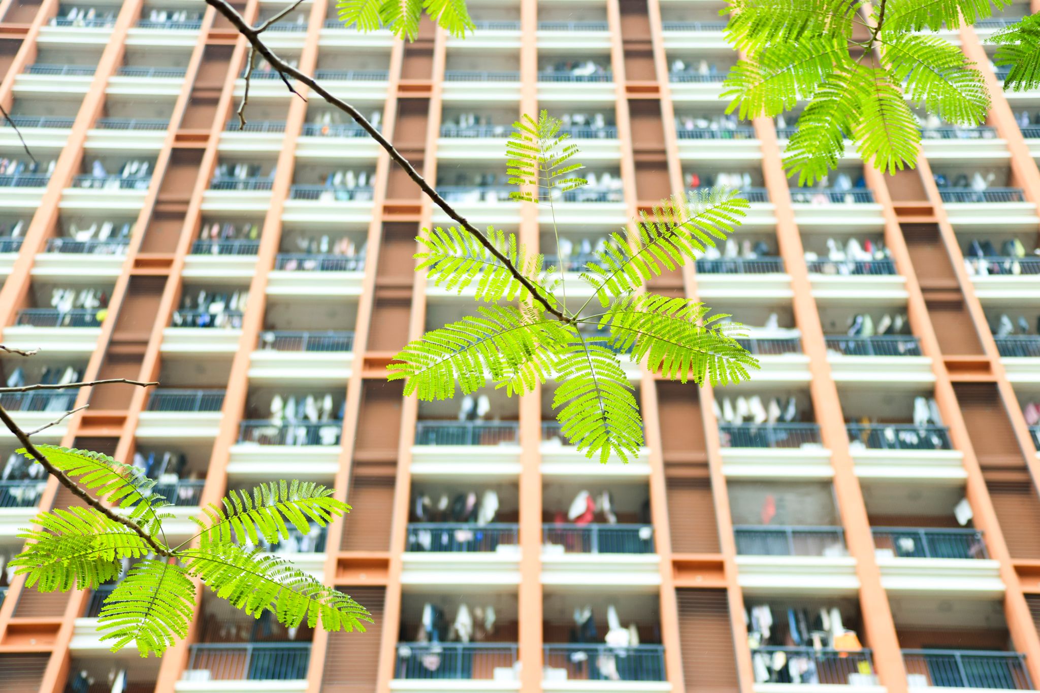 41F026C2C1F1C157EE9248CD851_4CCB0A83_6A762 41F026C2C1F1C157EE9248CD851_4CCB0A83_6A762