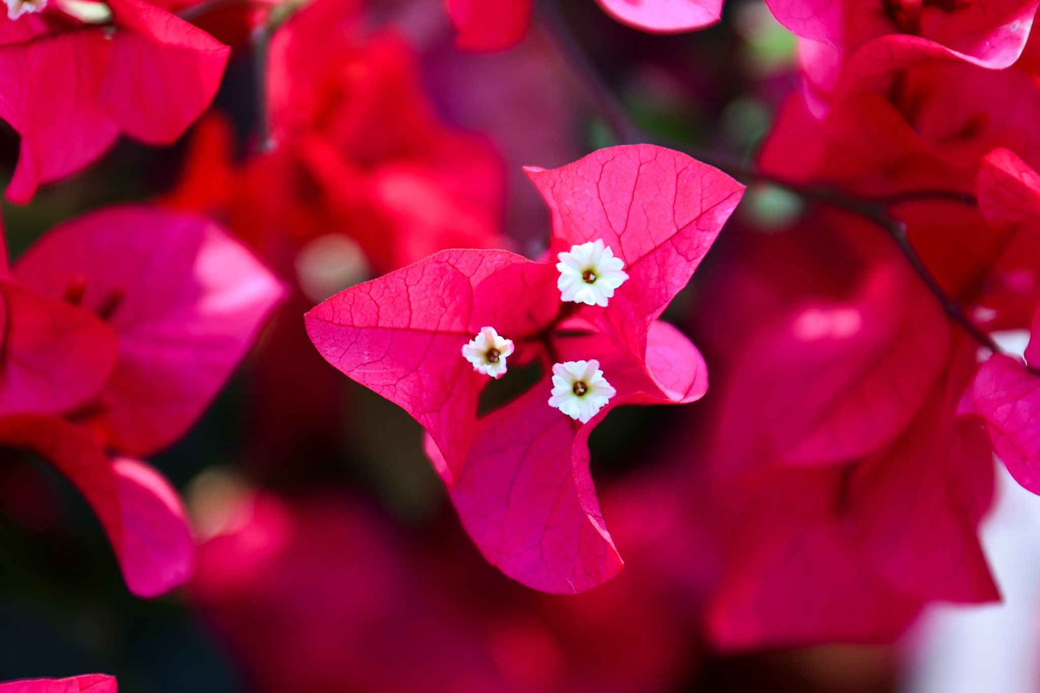 51BEE7025A6F268EFEC98FB1E40_D79D5B5D_2A1A7 51BEE7025A6F268EFEC98FB1E40_D79D5B5D_2A1A7