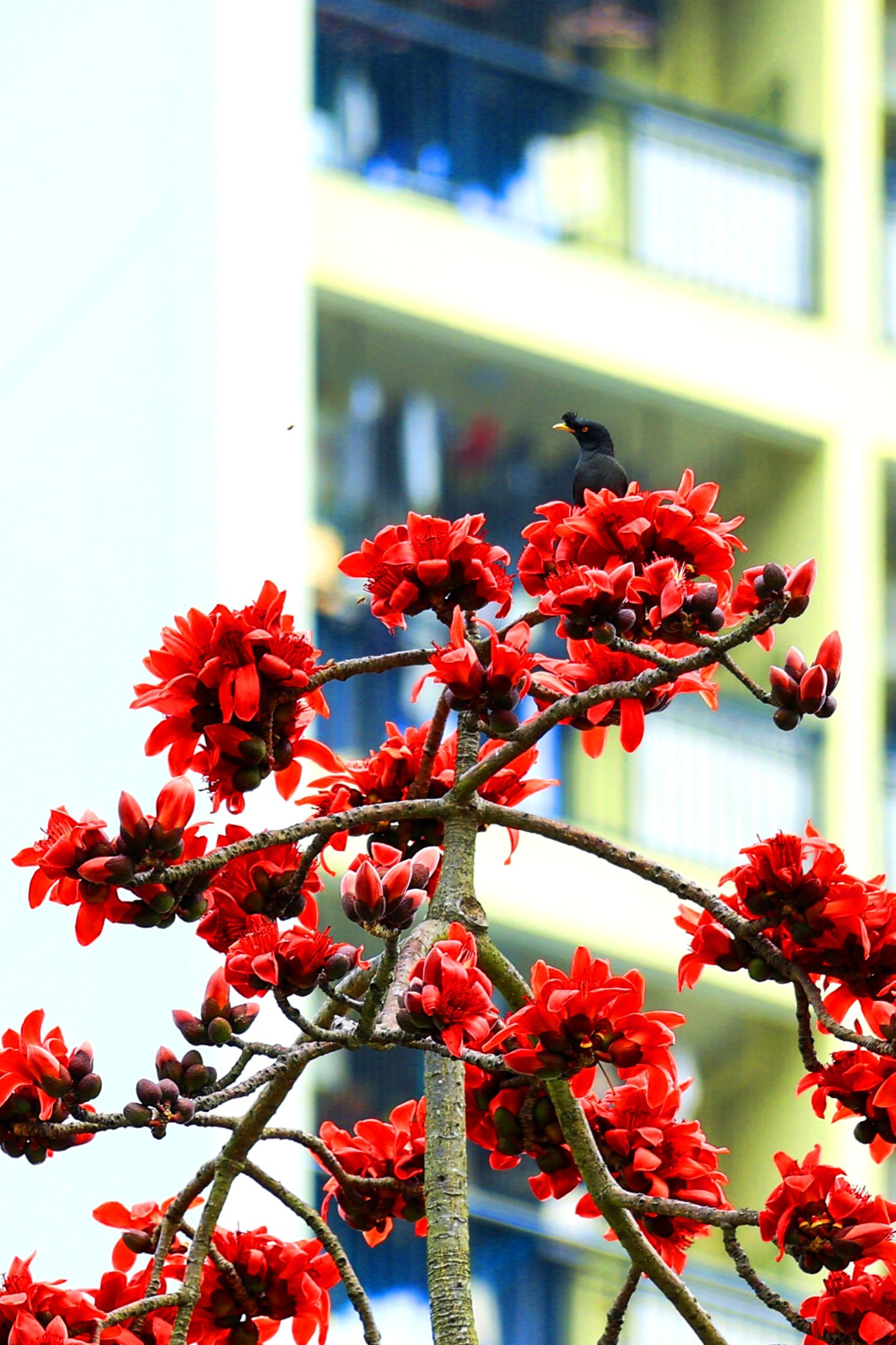 9F585630EE37E8E464C16FFDA12_E471DCD4_65C91 9F585630EE37E8E464C16FFDA12_E471DCD4_65C91