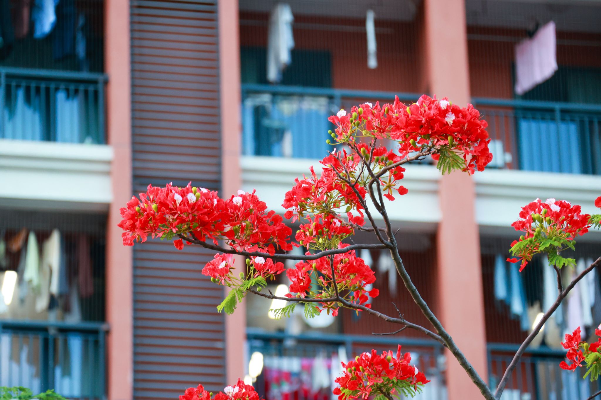 03854CCF829AD6BA942AD692D6F_D129A1C2_55A5B 03854CCF829AD6BA942AD692D6F_D129A1C2_55A5B