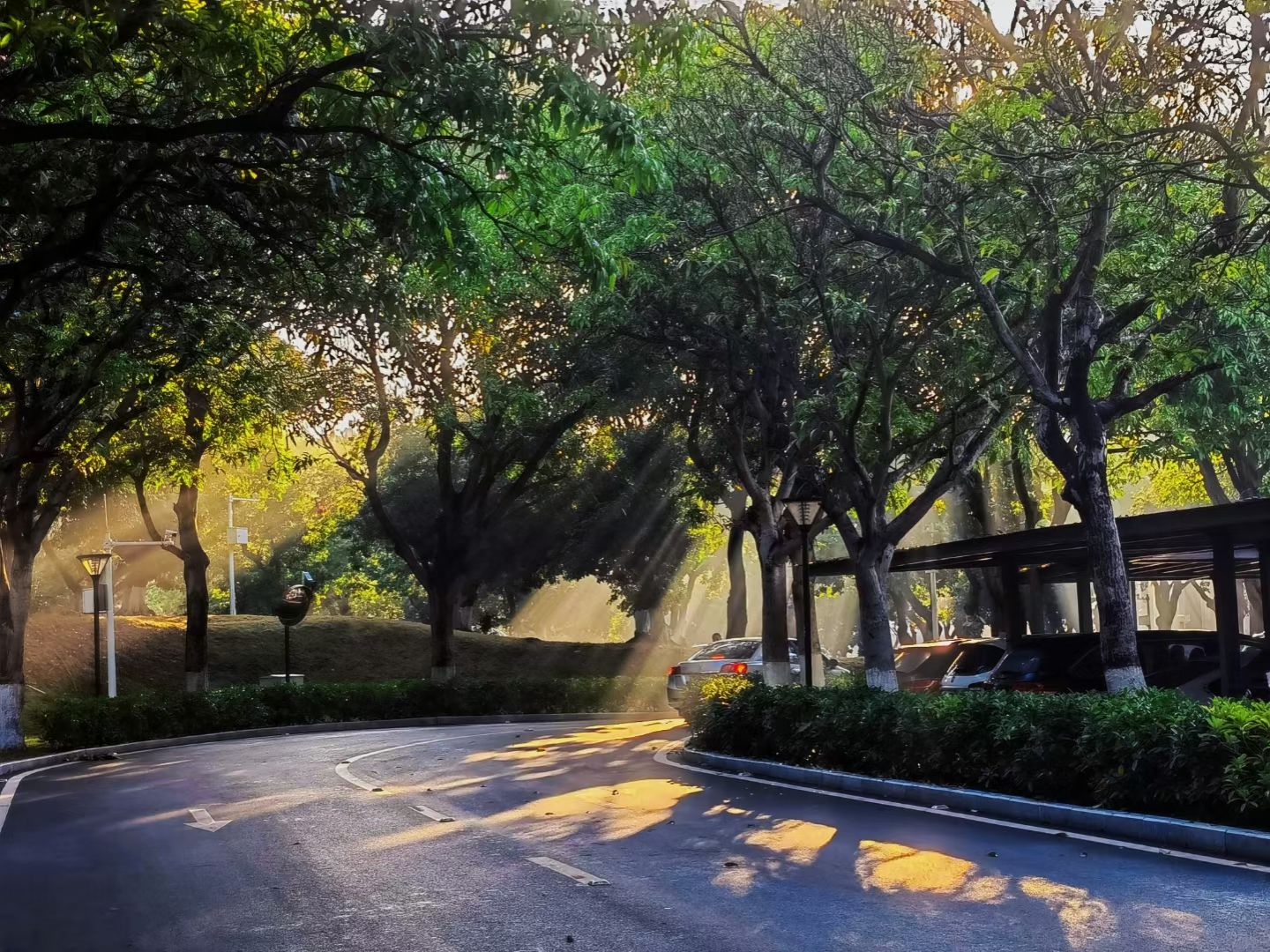 87738D95024EFFB6FFA6228D68E_A398DA83_636D1 87738D95024EFFB6FFA6228D68E_A398DA83_636D1