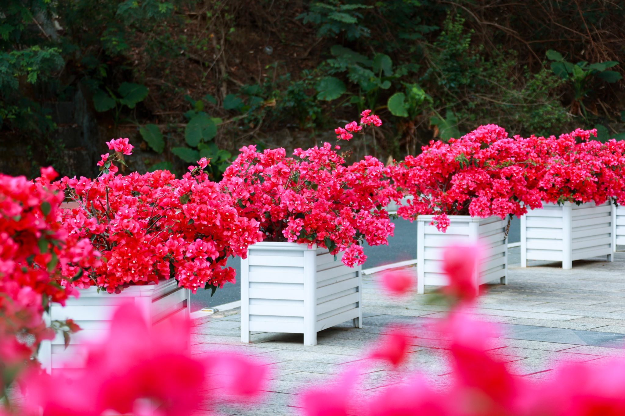 B44818BCE59C85A96A45081DACF_3FEA2002_68D7D B44818BCE59C85A96A45081DACF_3FEA2002_68D7D