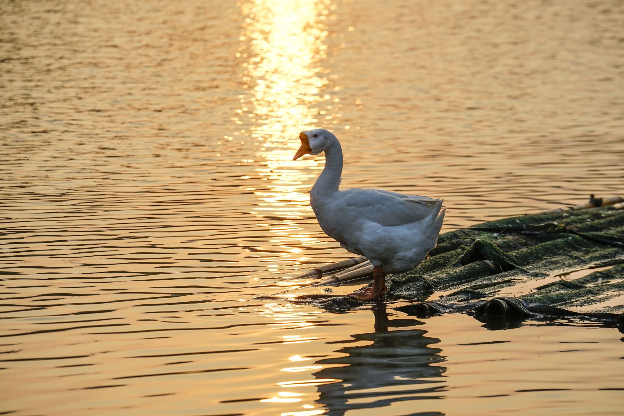 2B6E6C61DC7E579754365CEF6E4_D326404F_5B348 2B6E6C61DC7E579754365CEF6E4_D326404F_5B348