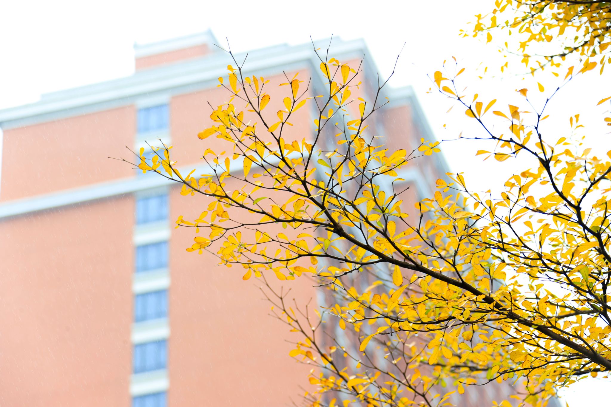 47389E8252C2357BBE5FD828603_1B3962B8_5FEEA 47389E8252C2357BBE5FD828603_1B3962B8_5FEEA