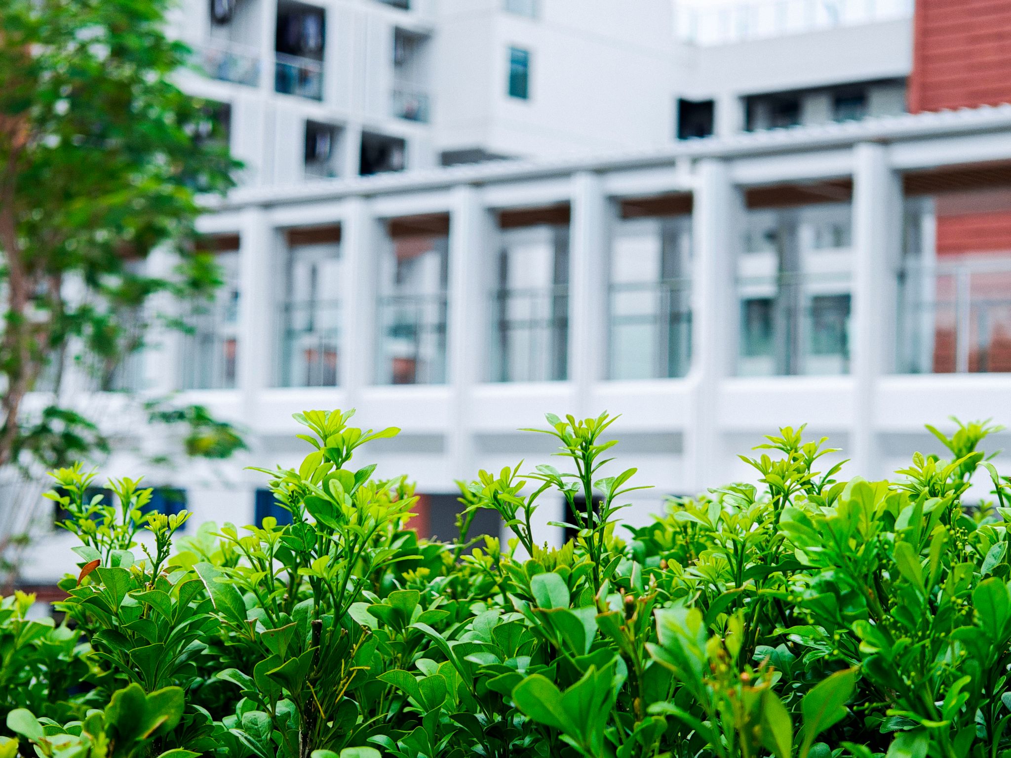 838626D5B273A5EDCDF91EC351C_A89A4EE3_82F03 838626D5B273A5EDCDF91EC351C_A89A4EE3_82F03