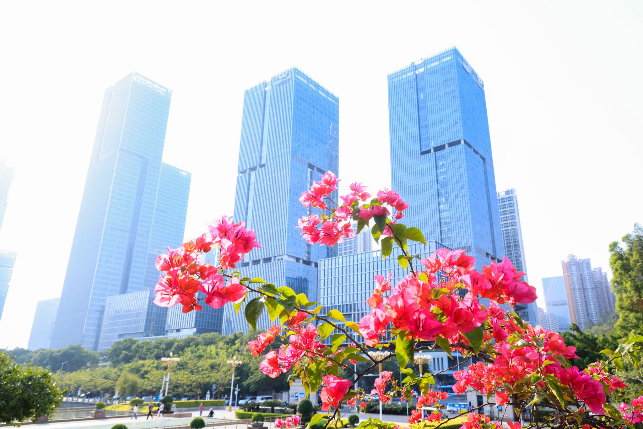 079A3BCF0F851A8E3EE800A9ED7_9A06228A_63434 079A3BCF0F851A8E3EE800A9ED7_9A06228A_63434