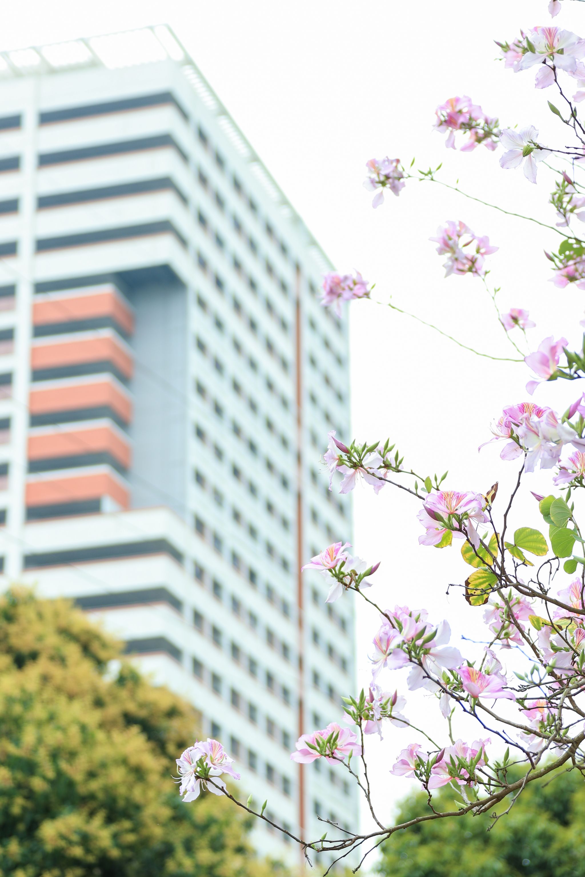 D91B0490D7DD75F91966C9D89A1_251C769F_7A6A3 D91B0490D7DD75F91966C9D89A1_251C769F_7A6A3