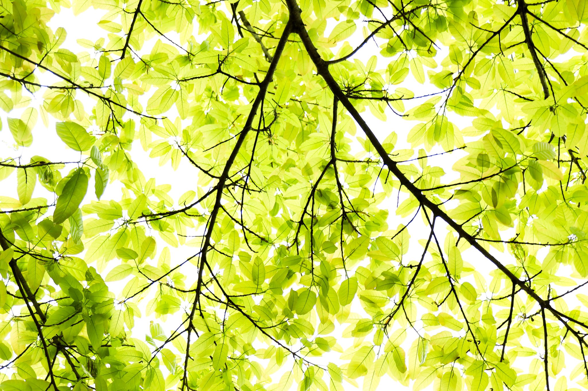 269F999F2C1BCFCFF5281E395F7_73604F79_91AA0 269F999F2C1BCFCFF5281E395F7_73604F79_91AA0