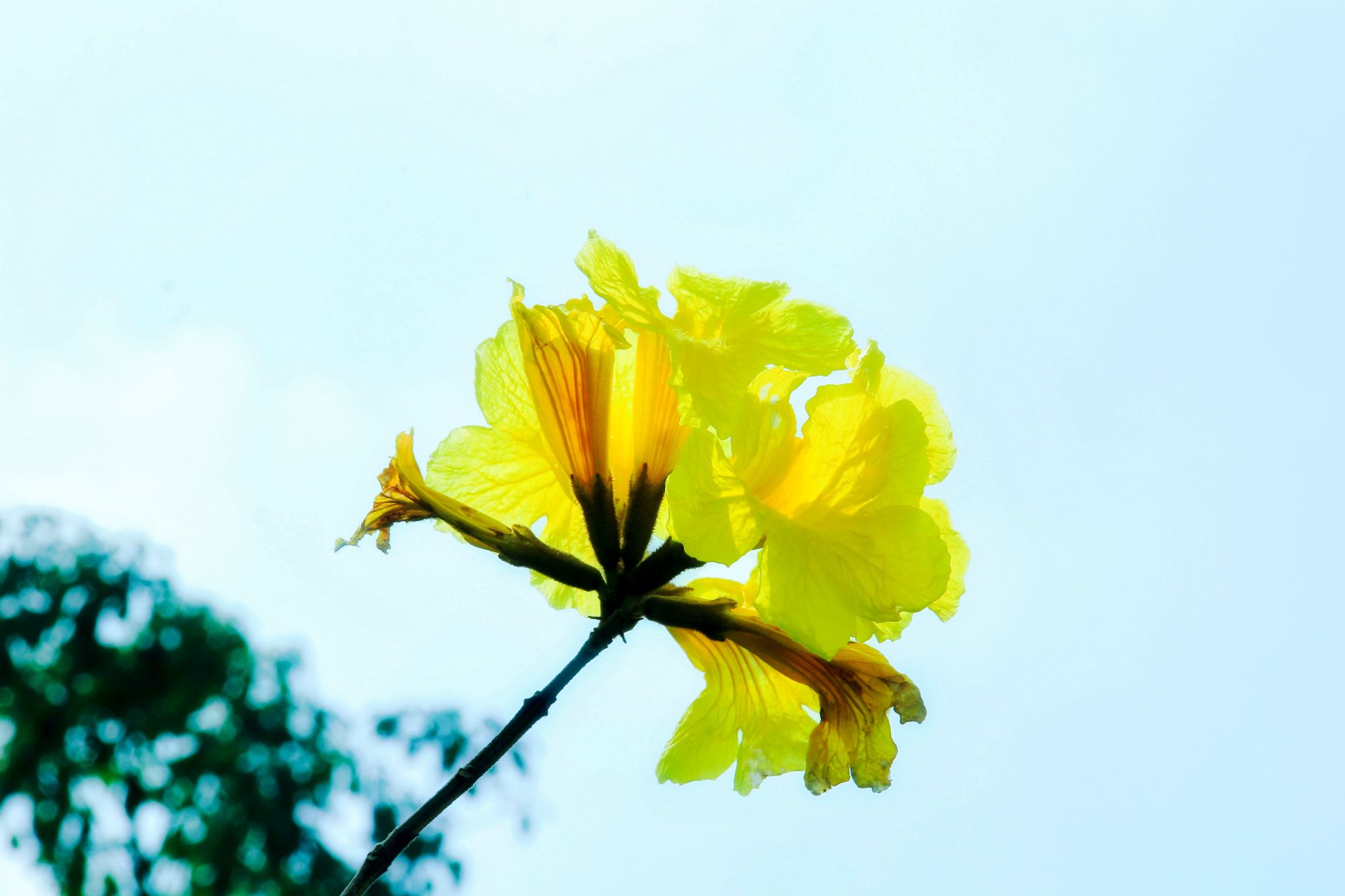 A5B5D6F638969B8B2FC70549CFF_FABAED7F_281E0 A5B5D6F638969B8B2FC70549CFF_FABAED7F_281E0