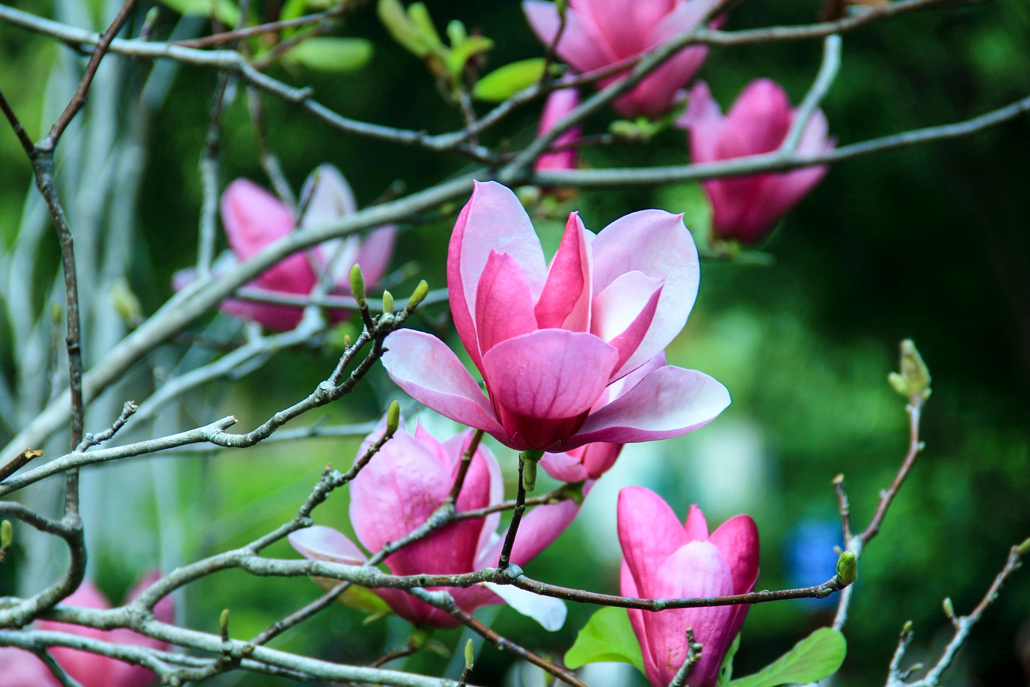 A3E9C1F5B05E36C2FBB510DBAF5_BD460979_493DE A3E9C1F5B05E36C2FBB510DBAF5_BD460979_493DE