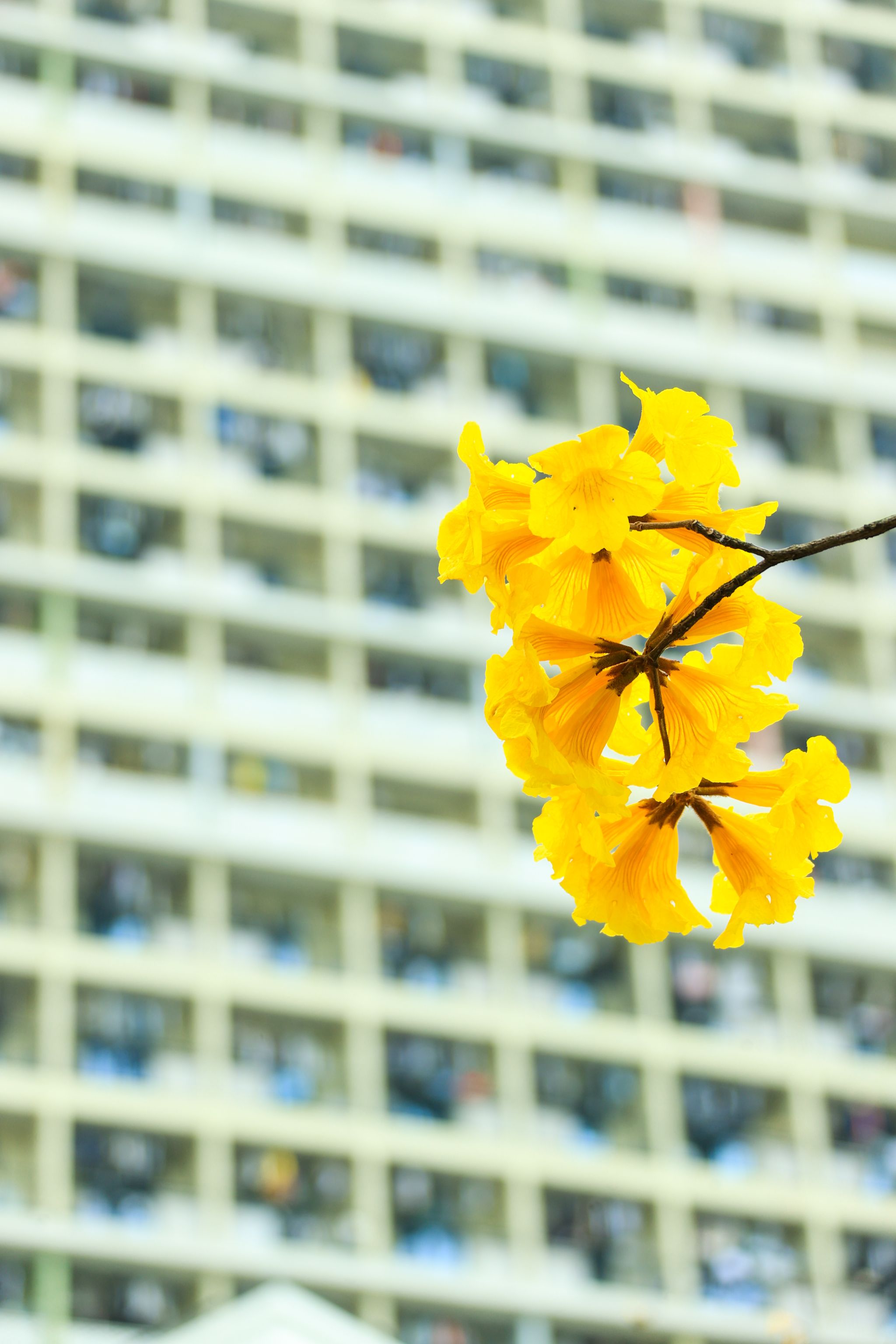 4E493A24FD19B26850C844BF1C0_BE08779F_5E616 4E493A24FD19B26850C844BF1C0_BE08779F_5E616