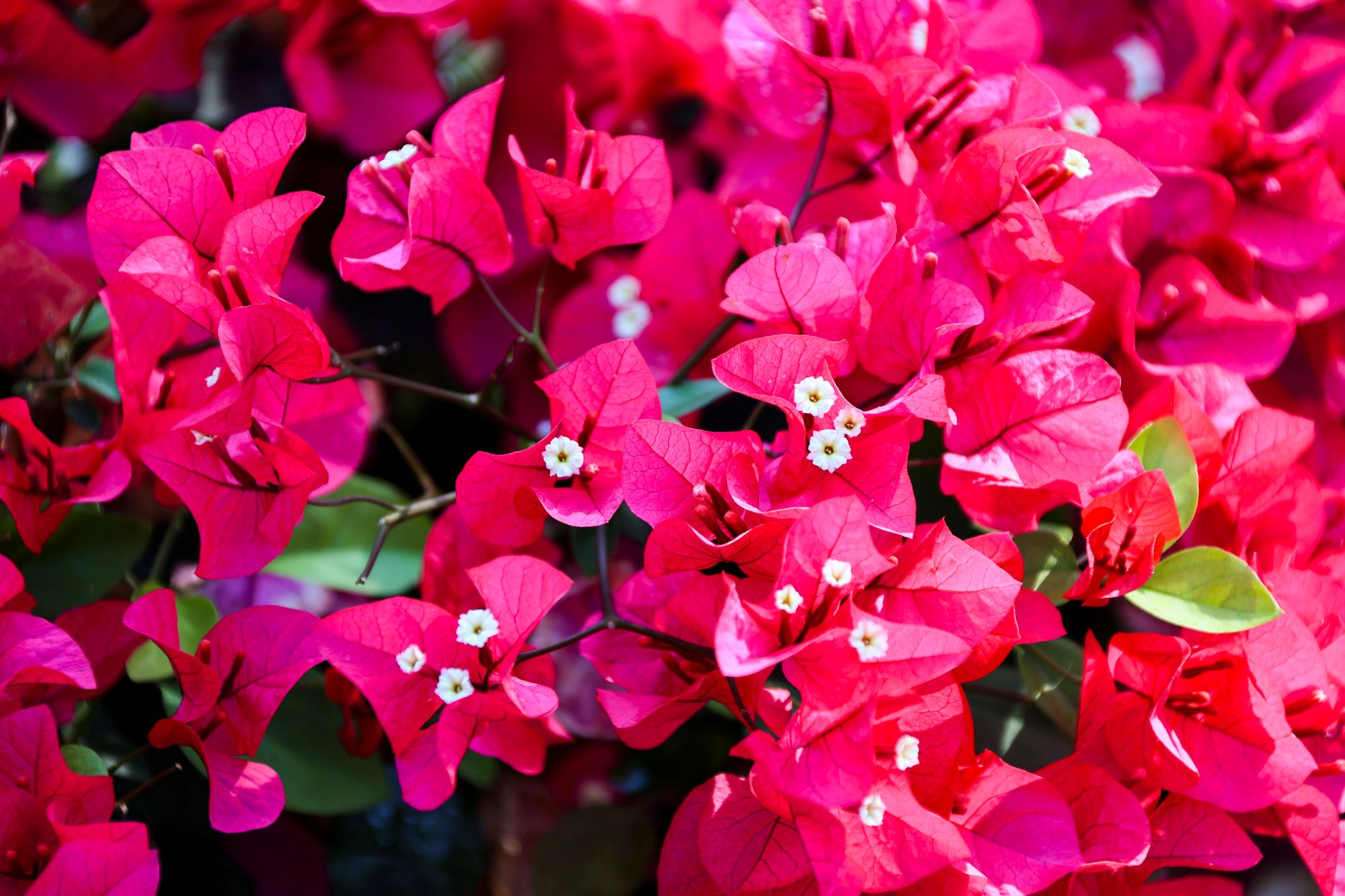 DD8A797DDC895AFD19218436228_342A6C8D_53EC4 DD8A797DDC895AFD19218436228_342A6C8D_53EC4