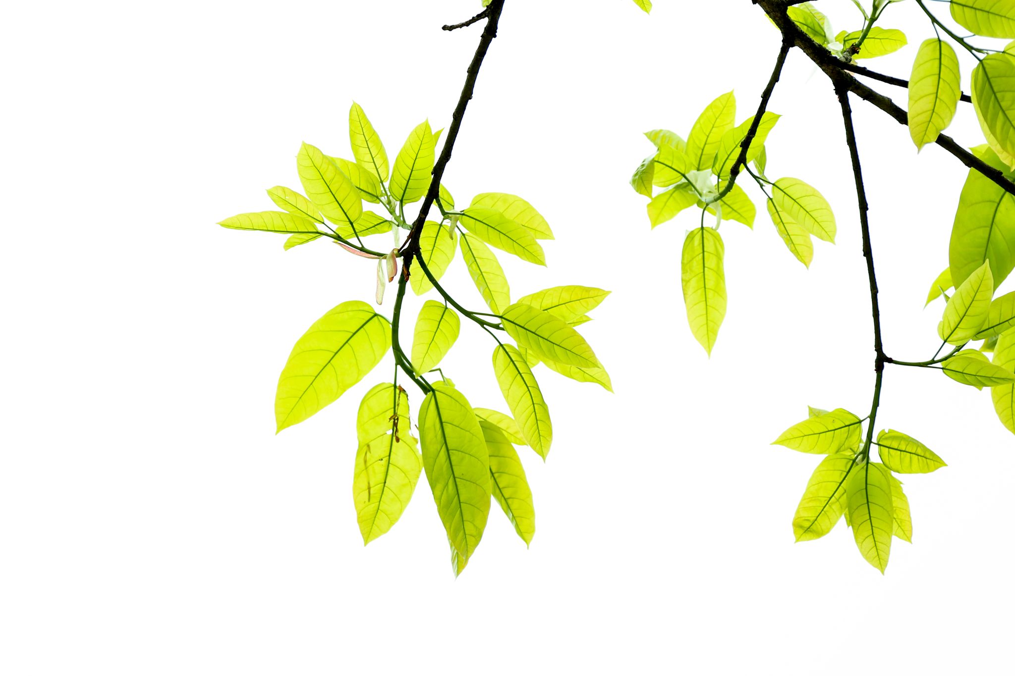 D8B56957039BF2B3FF9DD64378A_679D482B_2C472 D8B56957039BF2B3FF9DD64378A_679D482B_2C472