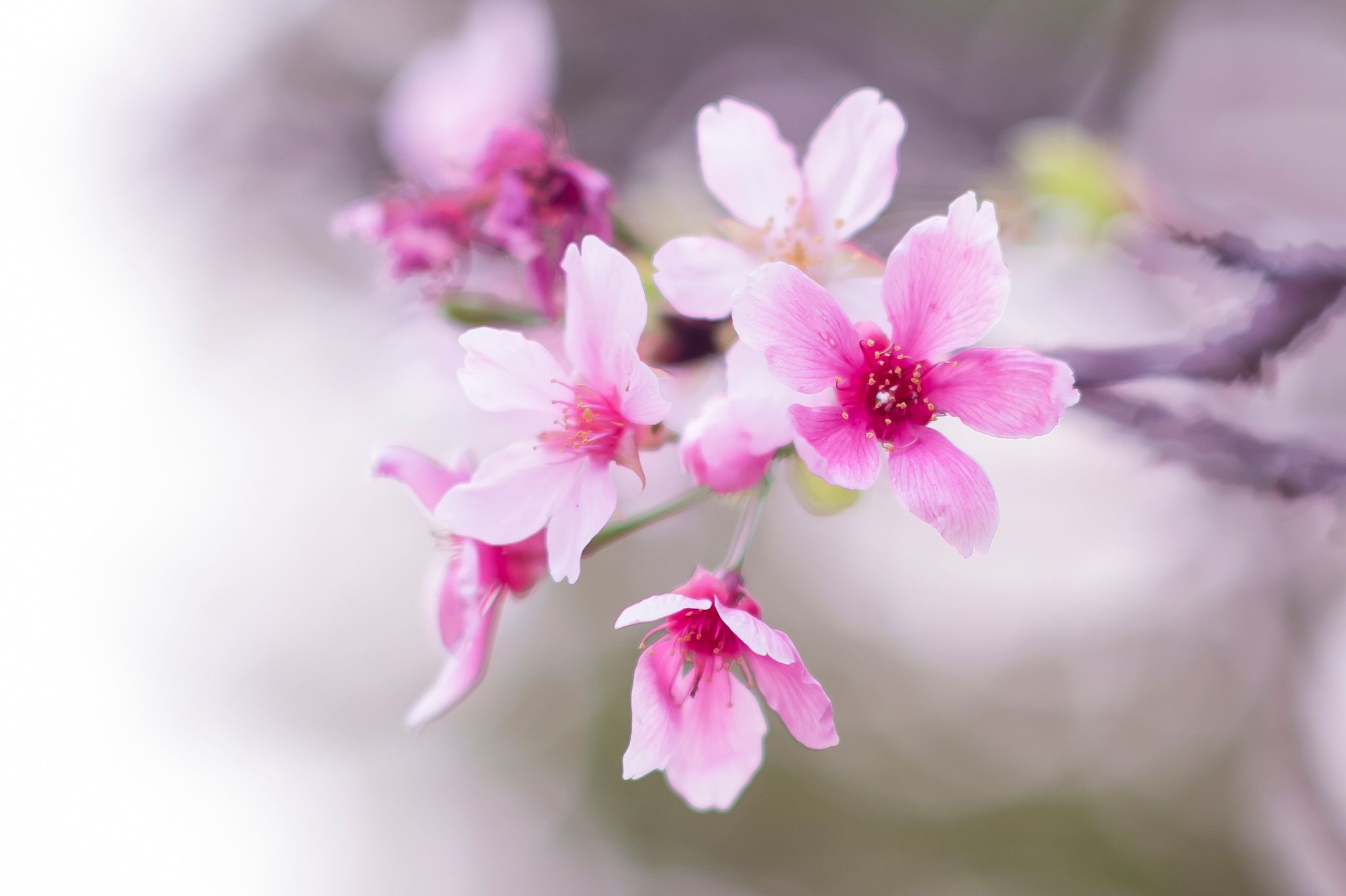 93D1B271ACF4BEE831AB43D42A0_DDBF7577_22714 93D1B271ACF4BEE831AB43D42A0_DDBF7577_22714