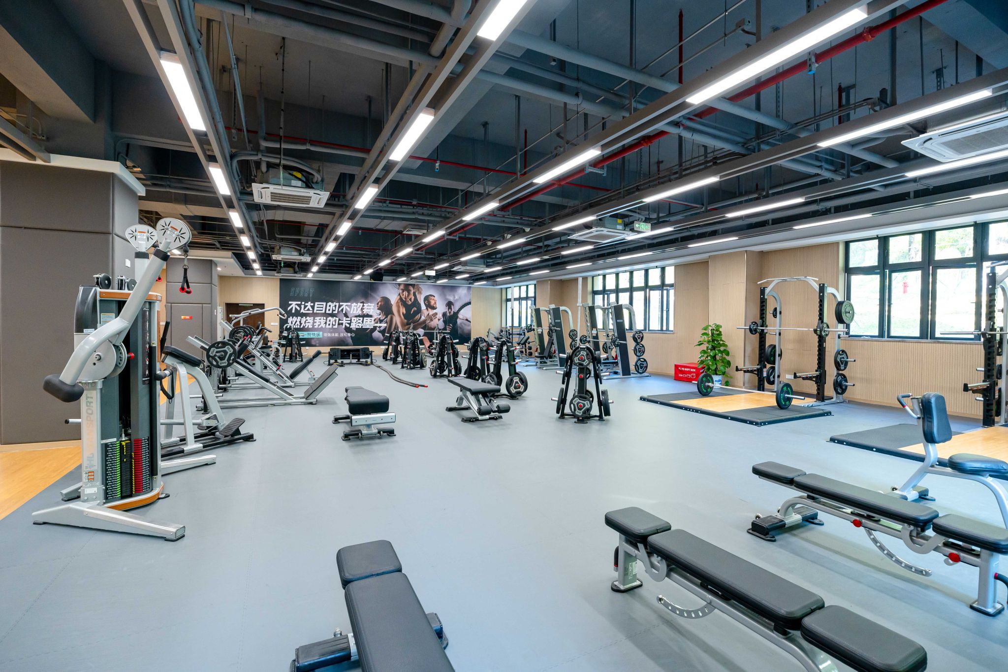 3BA848F46A1731668E0CD5FC3E5_ADF948E7_6C3A7 3BA848F46A1731668E0CD5FC3E5_ADF948E7_6C3A7