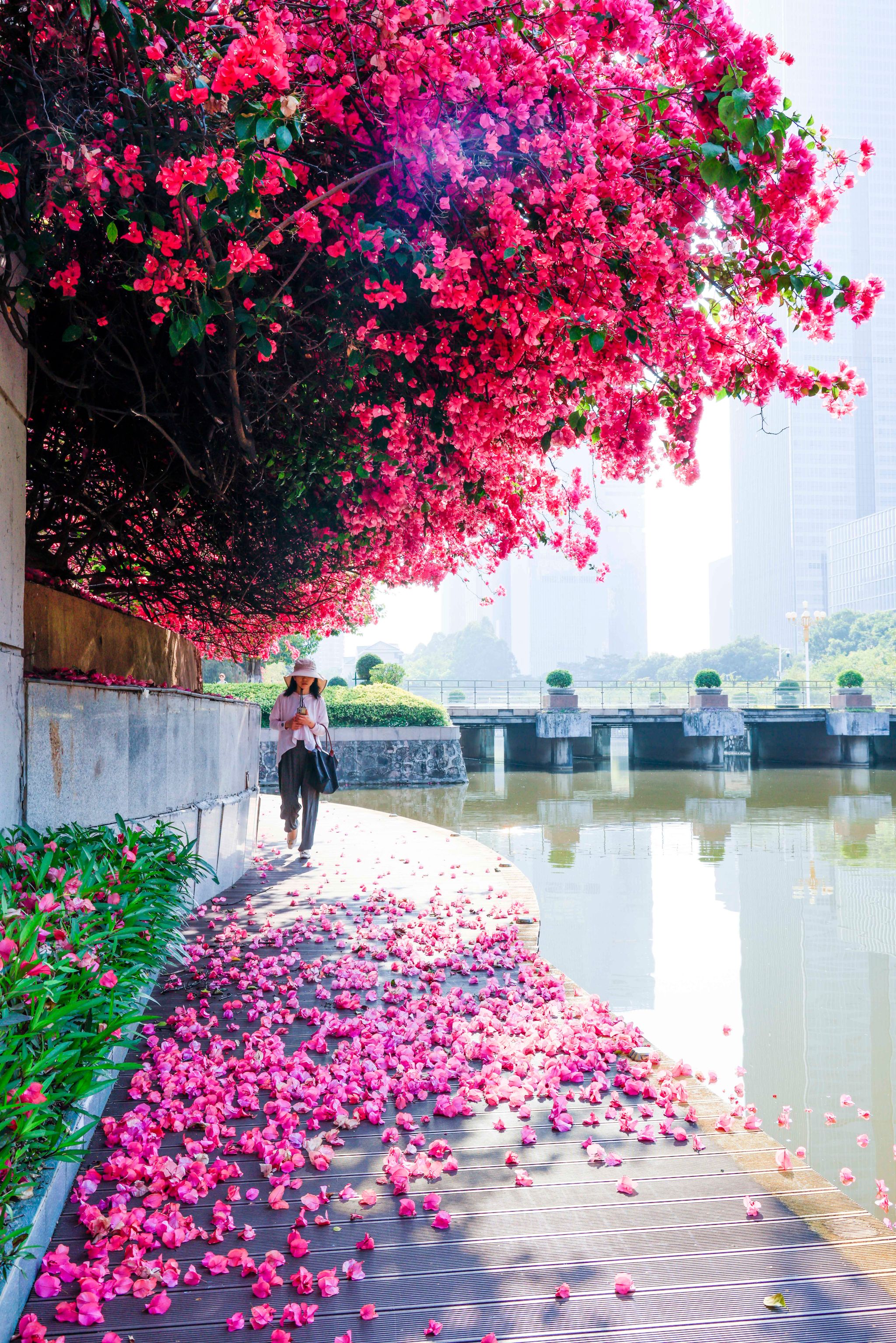 0491CBBDB26377726B5C73020FC_60A5ACF9_17B5EB 0491CBBDB26377726B5C73020FC_60A5ACF9_17B5EB