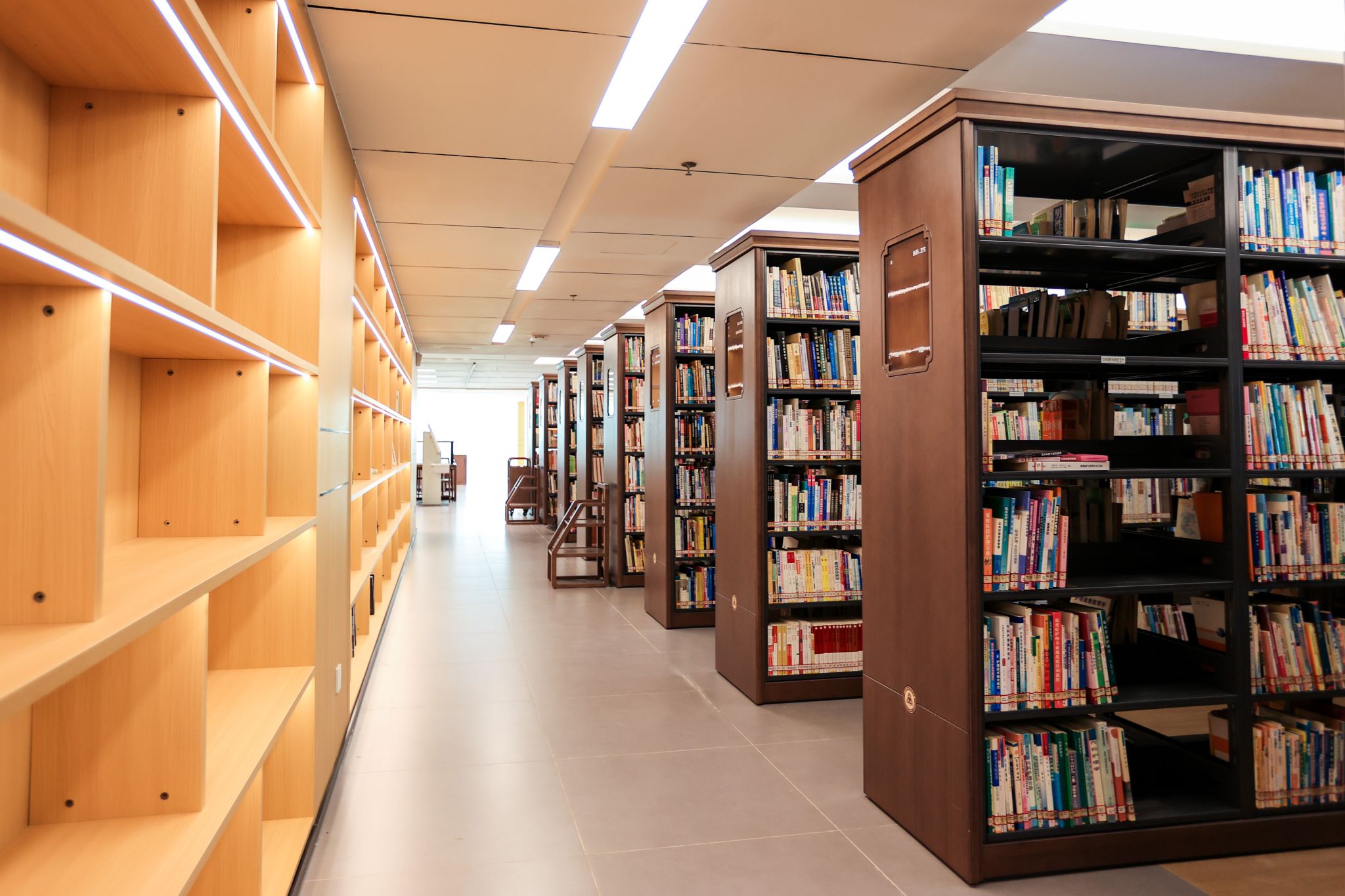 65A8CB7F02CFB4E7CA3F6B86CDC_303B4CAB_50D22 65A8CB7F02CFB4E7CA3F6B86CDC_303B4CAB_50D22