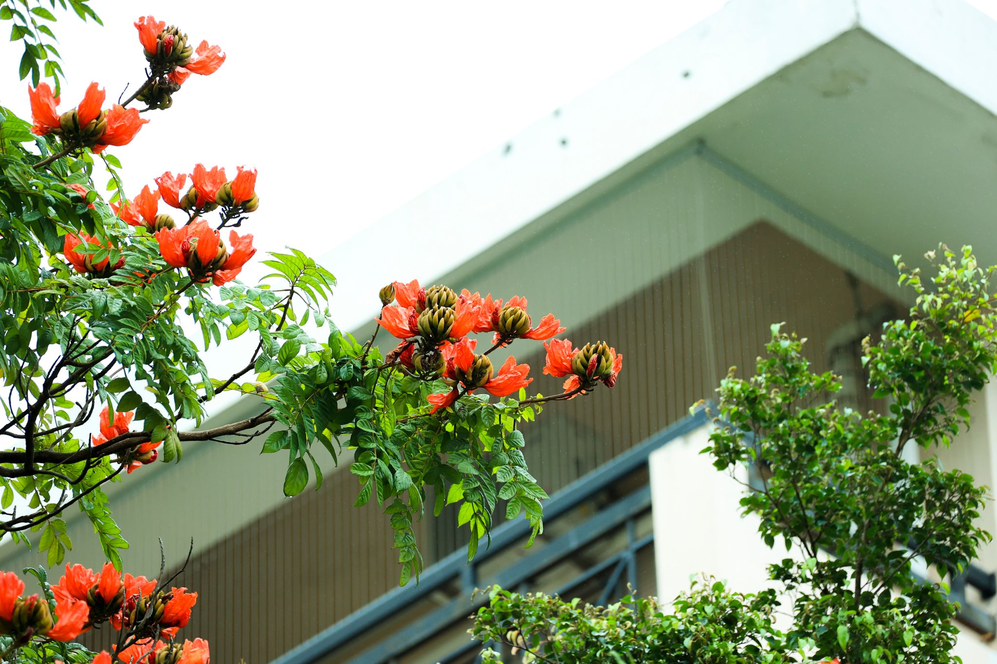 152BF5ED0A6590F3F8FAA83B941_B5817C80_6C737 152BF5ED0A6590F3F8FAA83B941_B5817C80_6C737