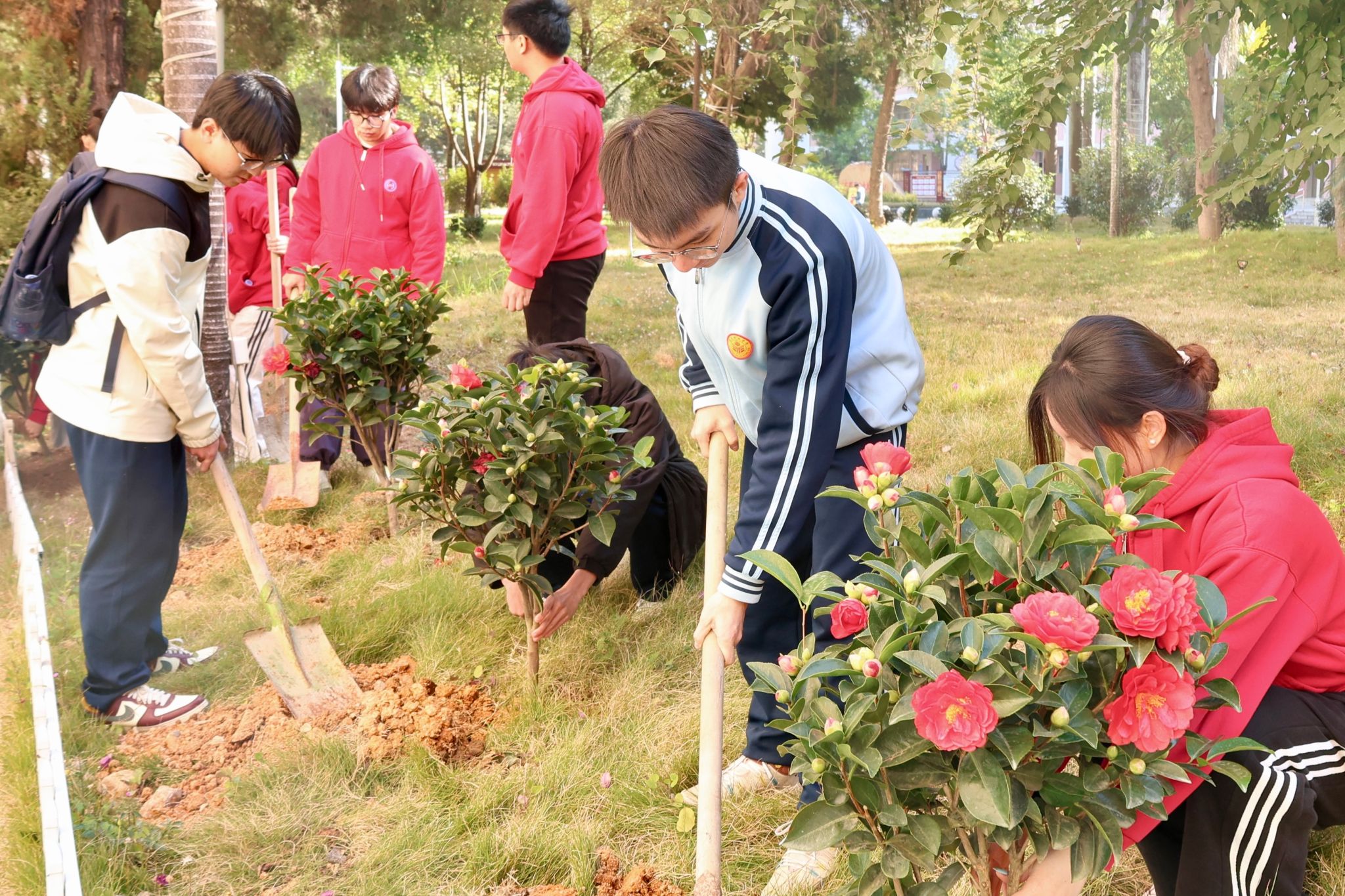 CDCF8C891757F67ED105A82194A_C1D9F6F7_9517A CDCF8C891757F67ED105A82194A_C1D9F6F7_9517A