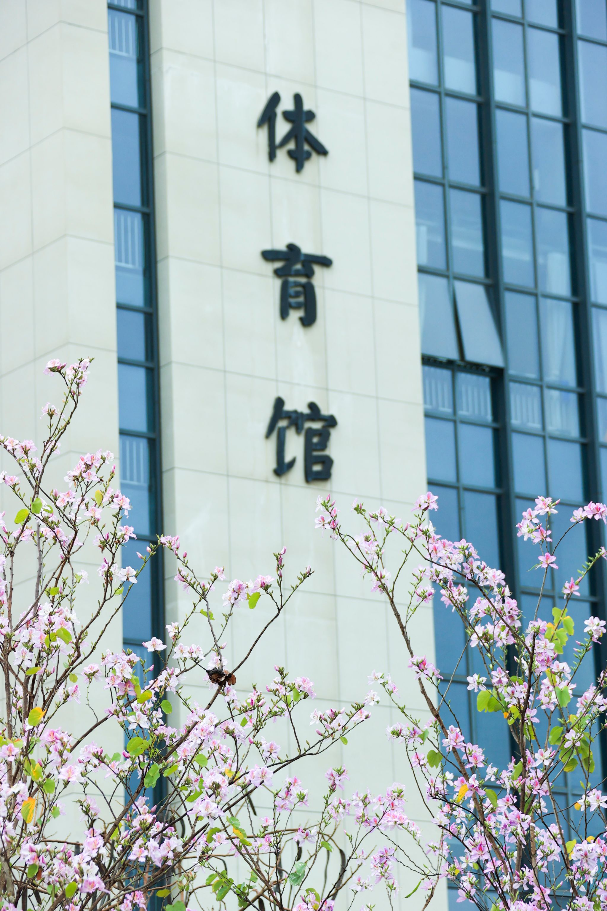 C05843DD6C3024ACD07651AB558_A77D56B8_BF5E0 C05843DD6C3024ACD07651AB558_A77D56B8_BF5E0