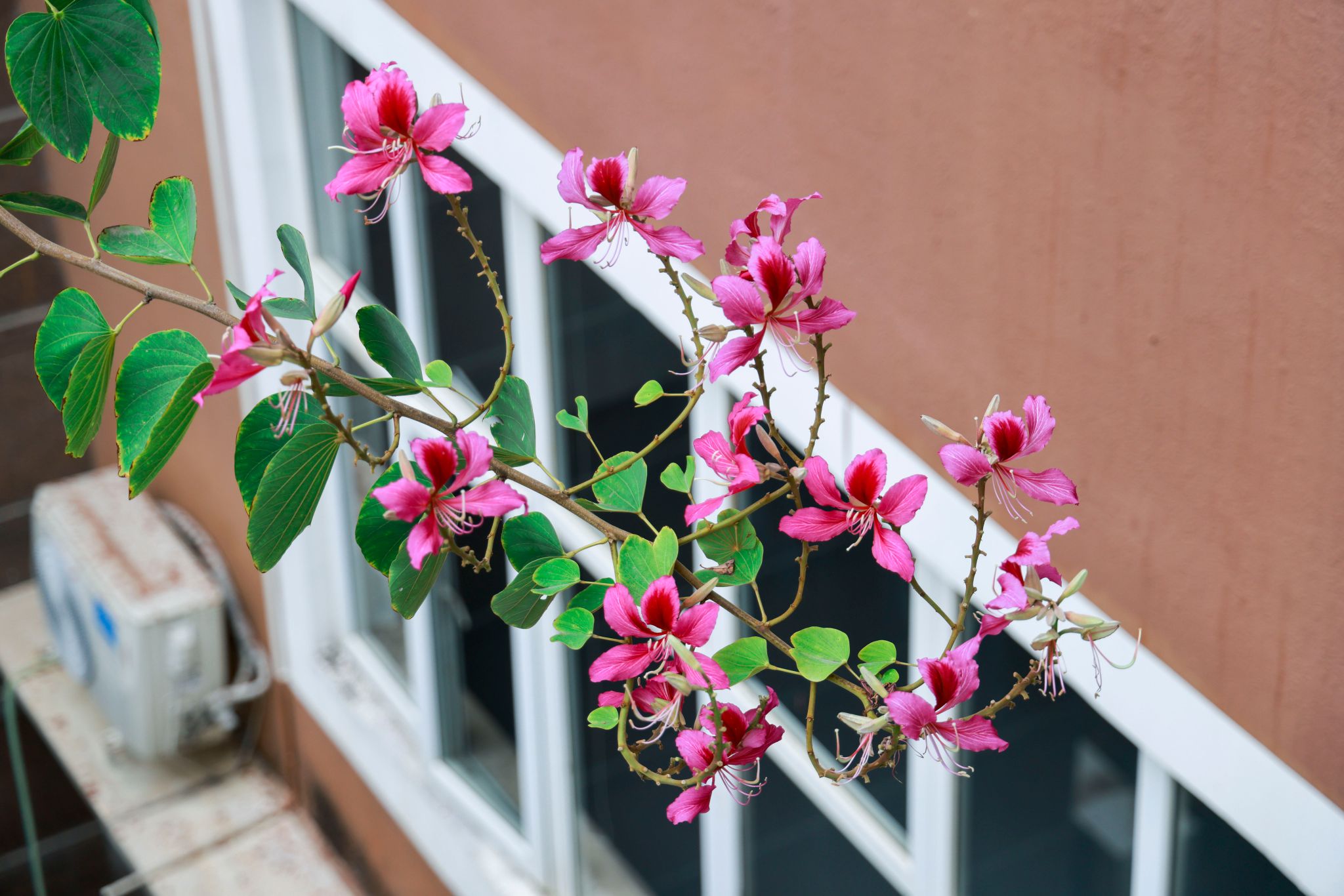 DDE0925D1AB82620AB5F468EEF6_91556093_4908B DDE0925D1AB82620AB5F468EEF6_91556093_4908B