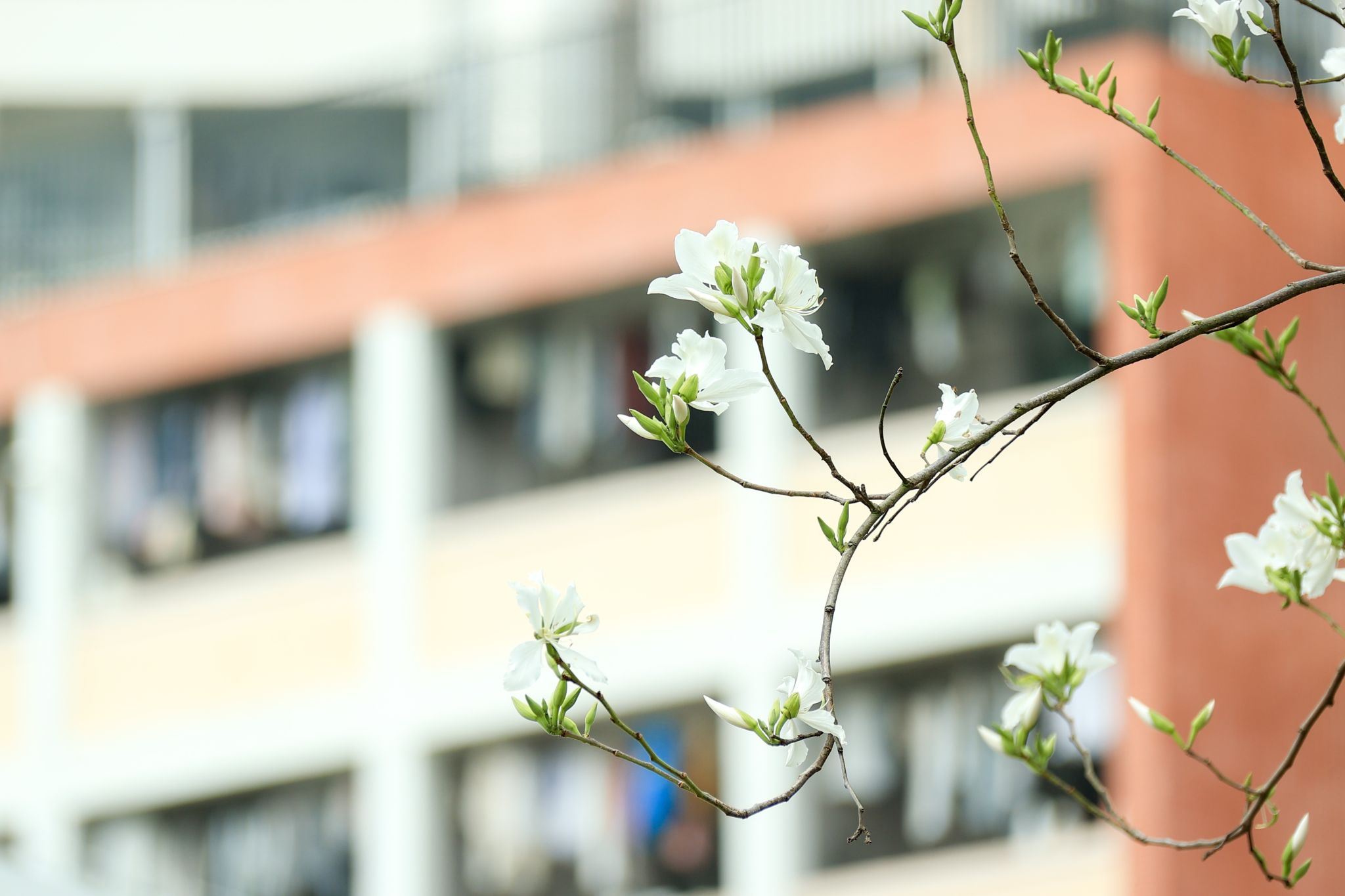 C9B6ACAAD123553280D47EC7B29_7ECC988F_2D504 C9B6ACAAD123553280D47EC7B29_7ECC988F_2D504