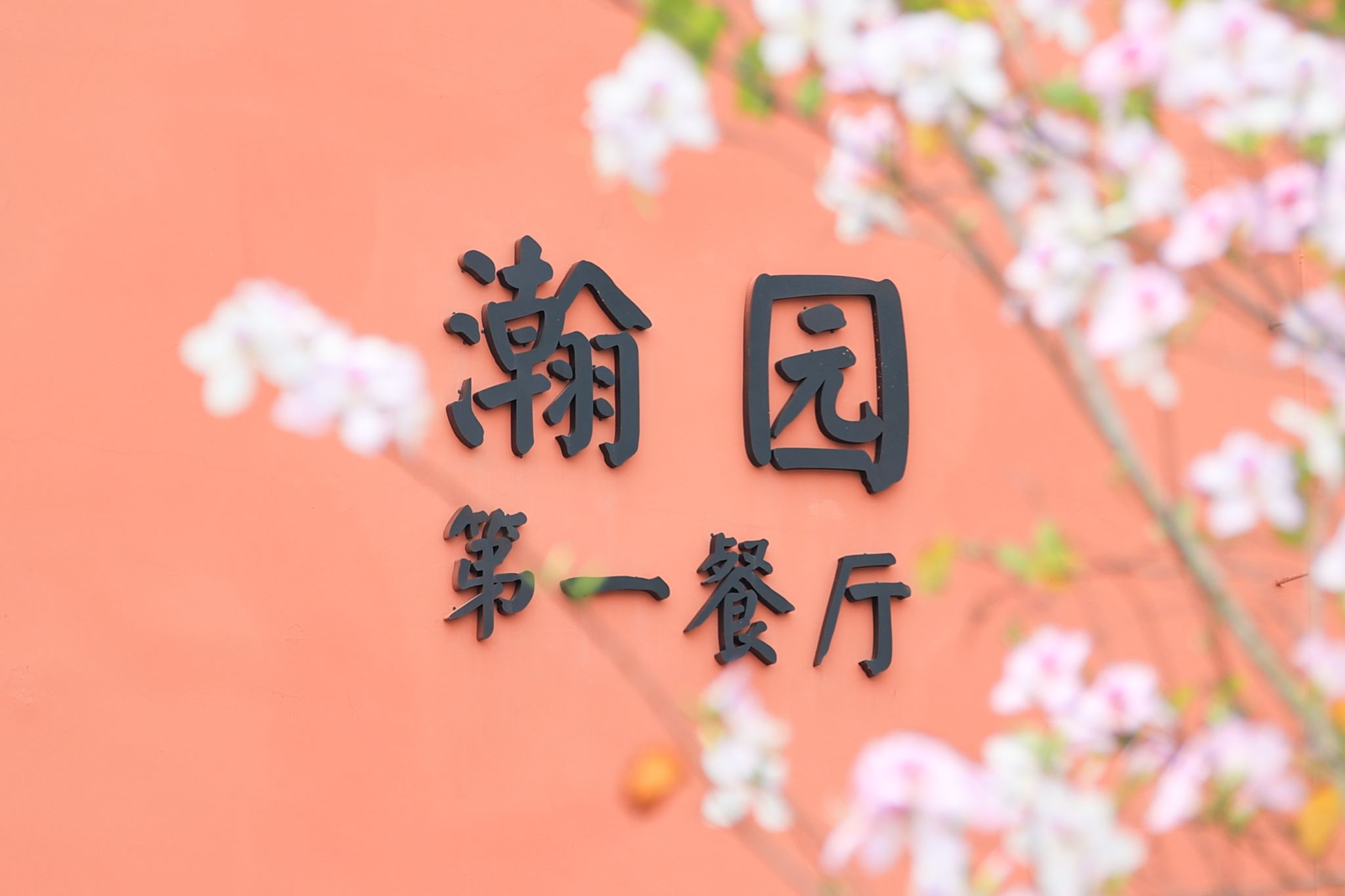 FE48A3E293D30D1DF739F8820F3_965DD7AE_233A7 FE48A3E293D30D1DF739F8820F3_965DD7AE_233A7