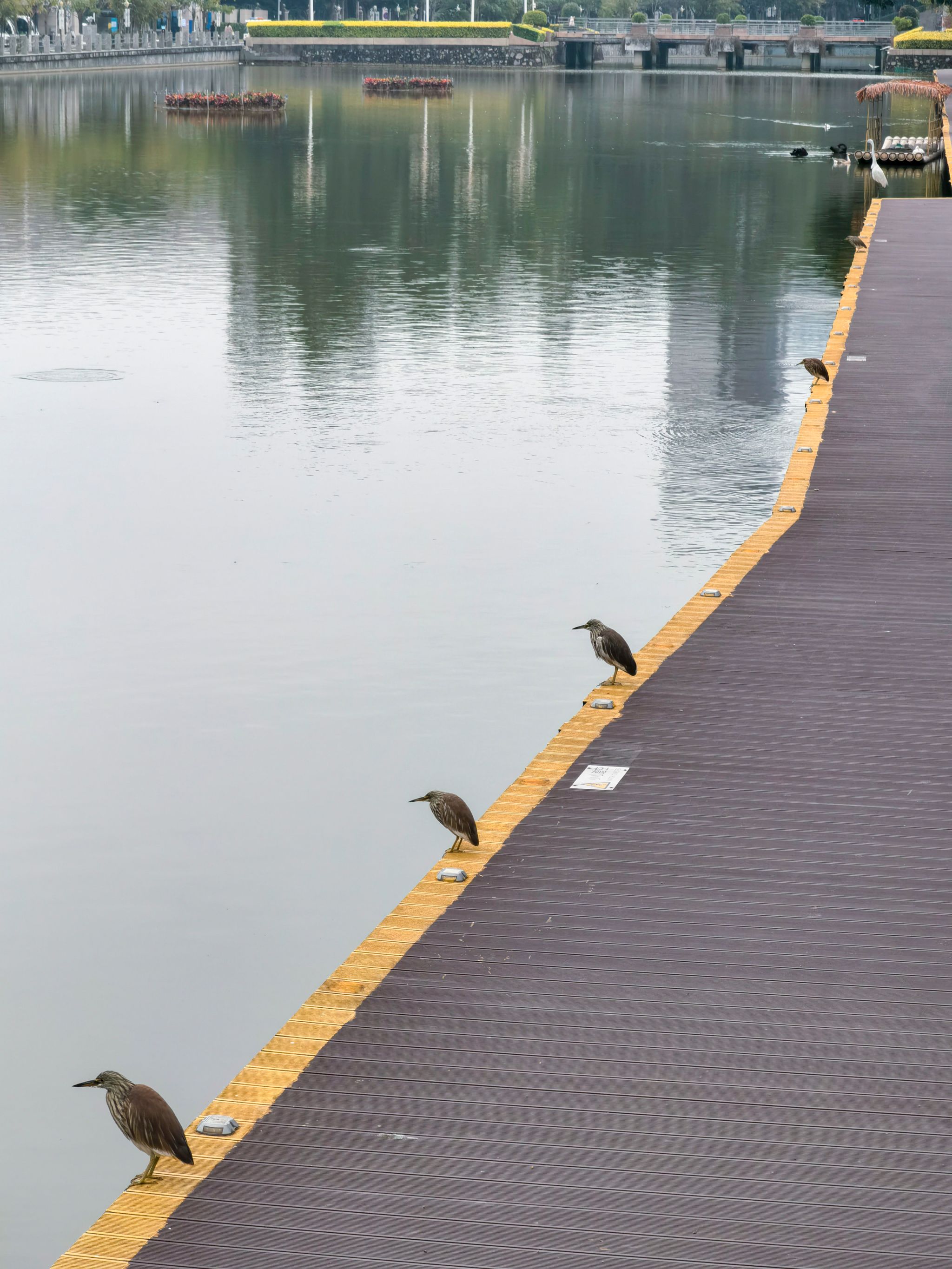 6C7BEE9CB102D267565B5759C6B_884DFD2B_A8436 6C7BEE9CB102D267565B5759C6B_884DFD2B_A8436