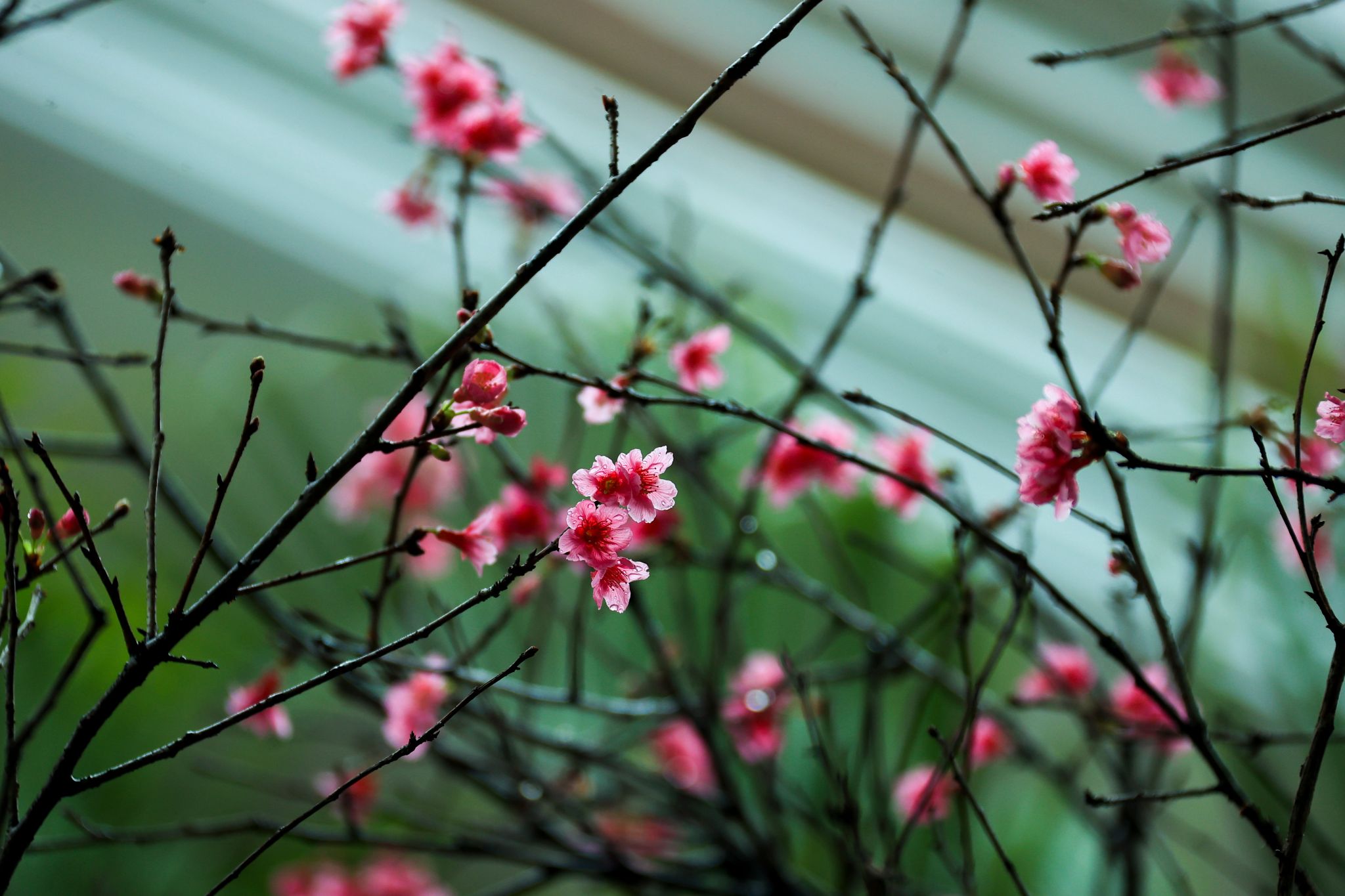 09322CC9DF2FD9FF401064503A4_E0890AE4_3F253 09322CC9DF2FD9FF401064503A4_E0890AE4_3F253