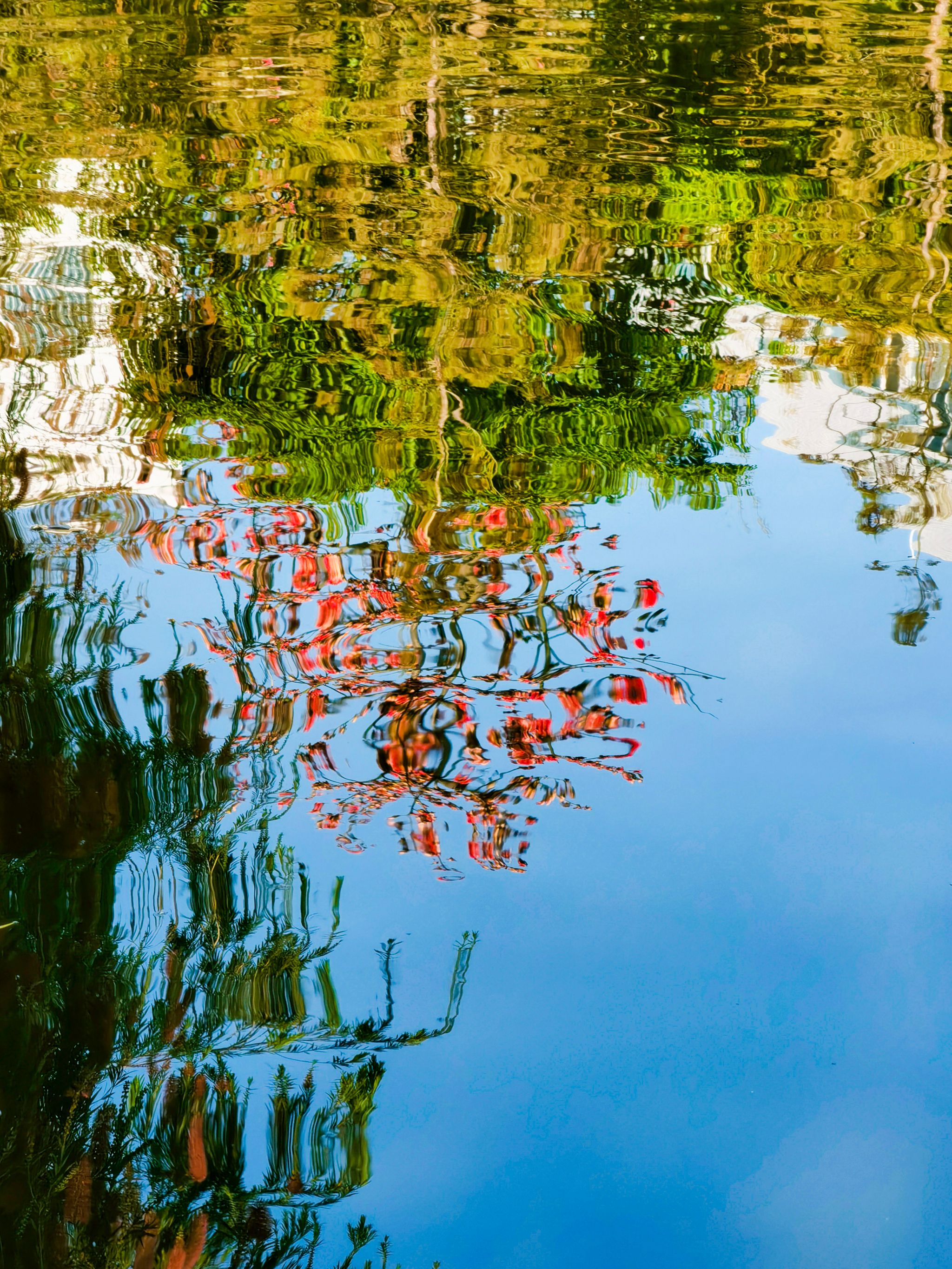 F375660CD463CCC33D87CA0AC3C_461AA9CF_101351 F375660CD463CCC33D87CA0AC3C_461AA9CF_101351