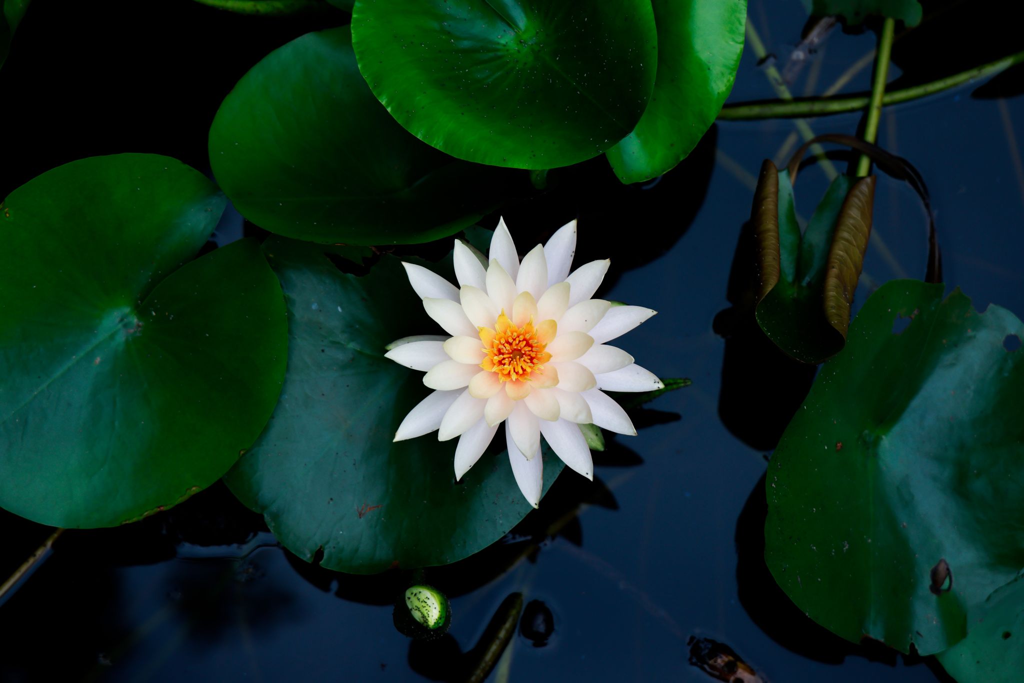 202699EDD914EA909942BA5B34E_4F16E81E_29C4D 202699EDD914EA909942BA5B34E_4F16E81E_29C4D