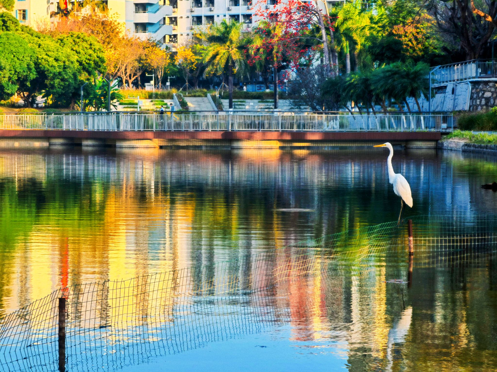 155CDFDF4A166B4525C04D5489B_63EDBCEC_BCA71 155CDFDF4A166B4525C04D5489B_63EDBCEC_BCA71