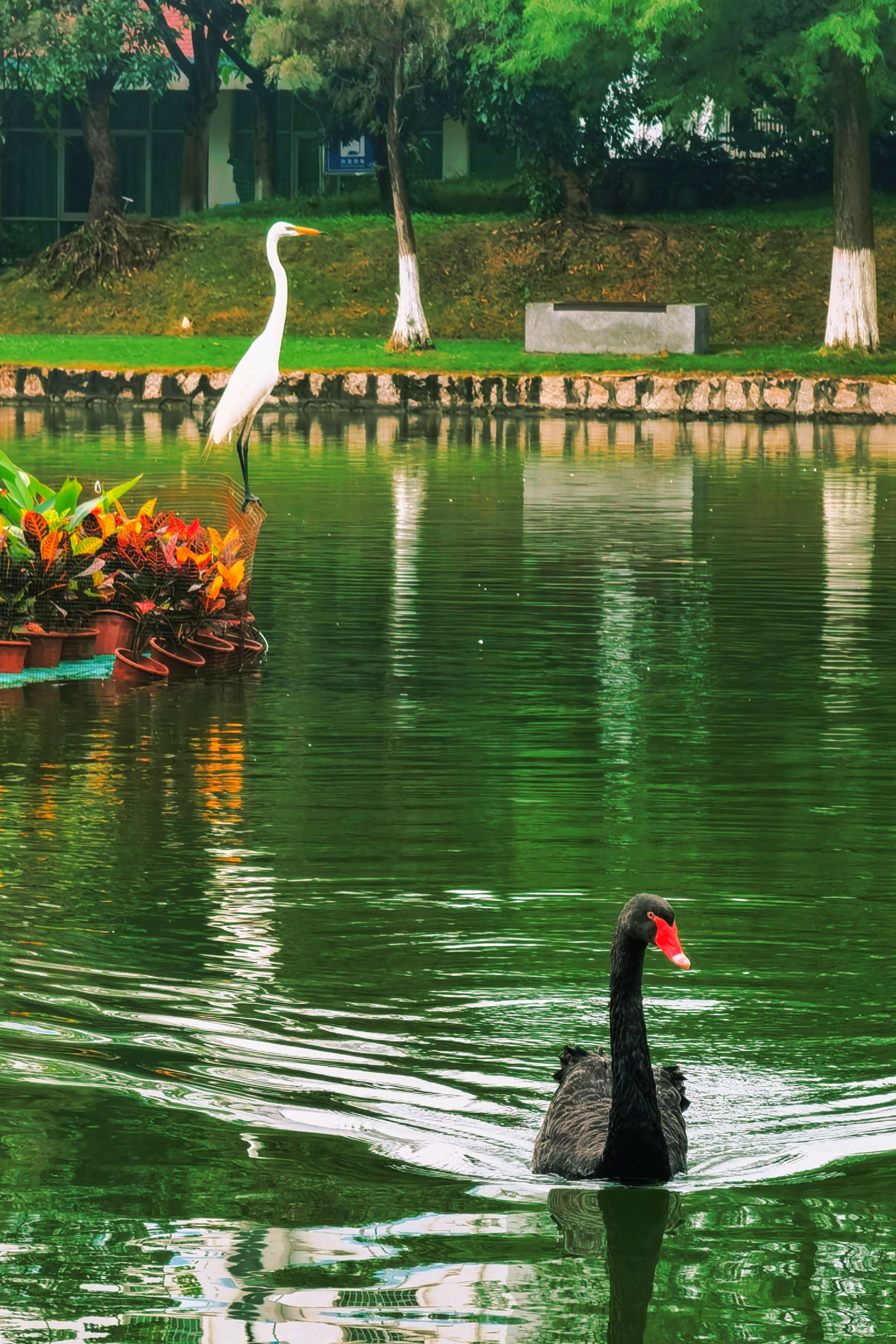 FEE2E0E2898D4785441F8393D24_03550864_EE0C8 FEE2E0E2898D4785441F8393D24_03550864_EE0C8