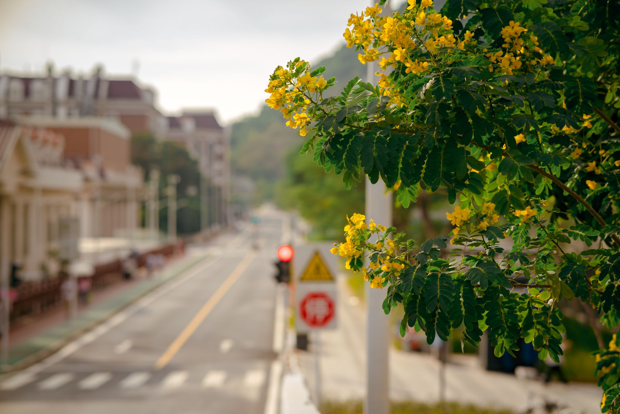 4E1D7679C10FD903821D2B054E7_2994235E_4B778 4E1D7679C10FD903821D2B054E7_2994235E_4B778