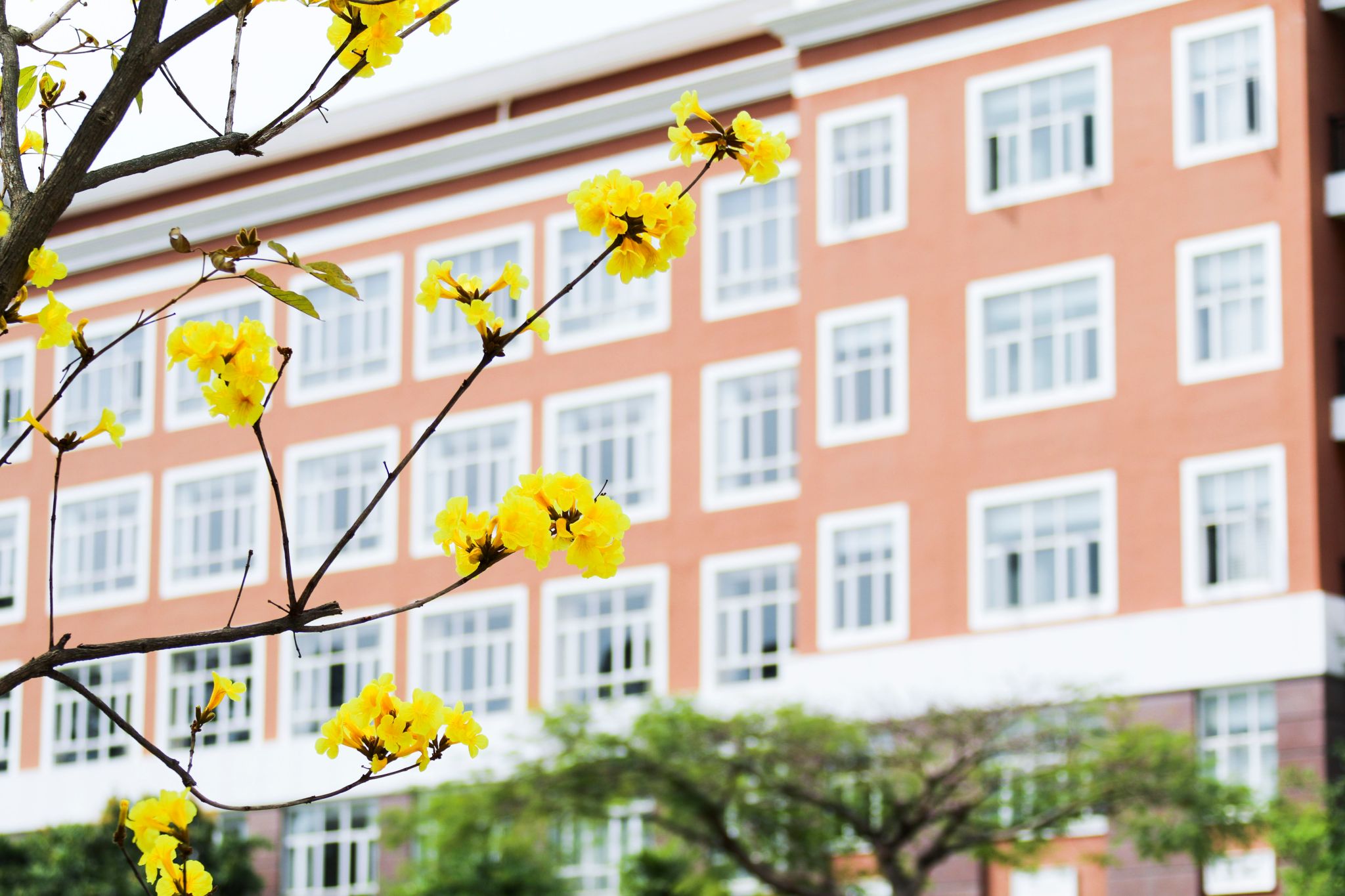 99C4FE8737E399109DEEEDB4BF0_98AA3479_47225 99C4FE8737E399109DEEEDB4BF0_98AA3479_47225