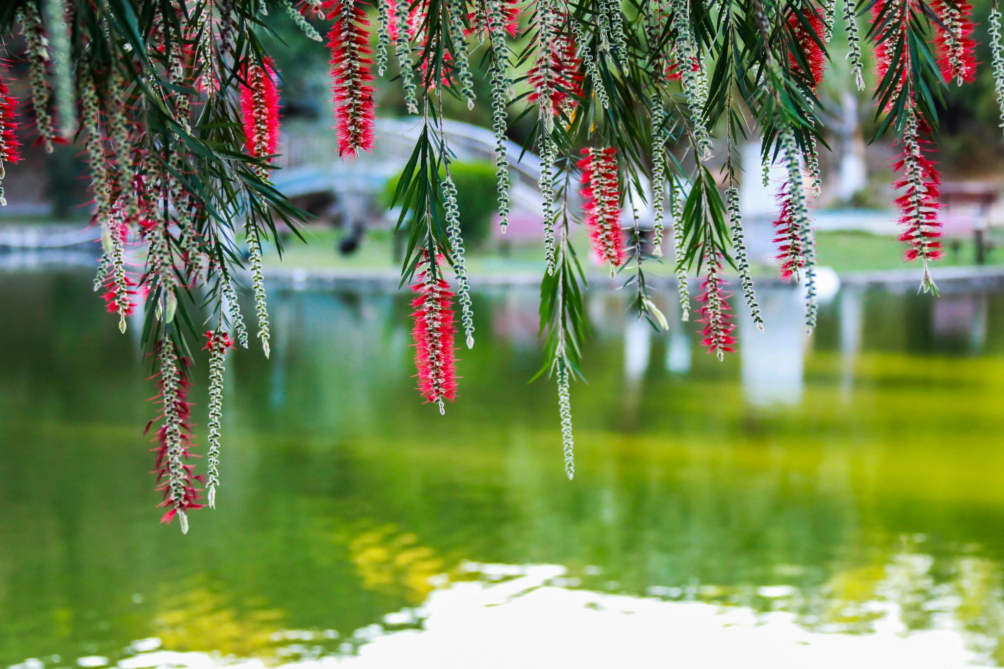 A1A45C850A8463D822E99CB9973_15ECBB8B_66613 A1A45C850A8463D822E99CB9973_15ECBB8B_66613