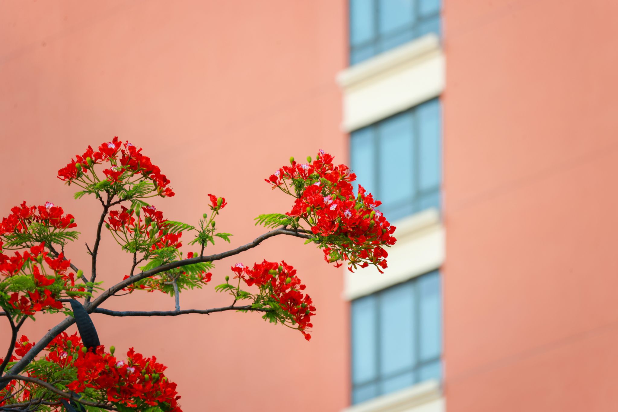 69937B35C9DF24D2165B7E78DBC_3DA89EE7_3565A 69937B35C9DF24D2165B7E78DBC_3DA89EE7_3565A