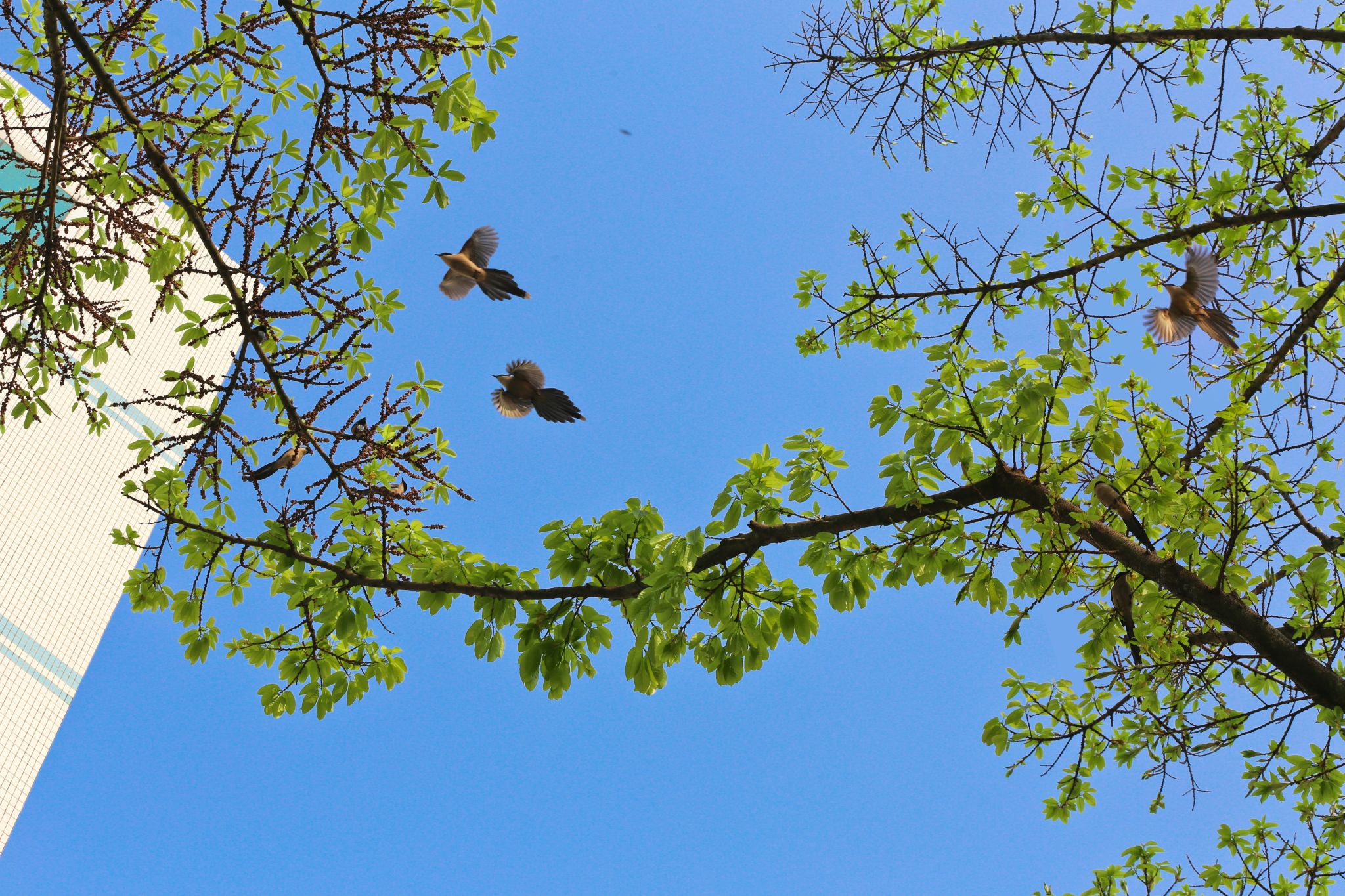 DC3D576A46095A547F21C13B20E_E56A1C75_9A6AC DC3D576A46095A547F21C13B20E_E56A1C75_9A6AC