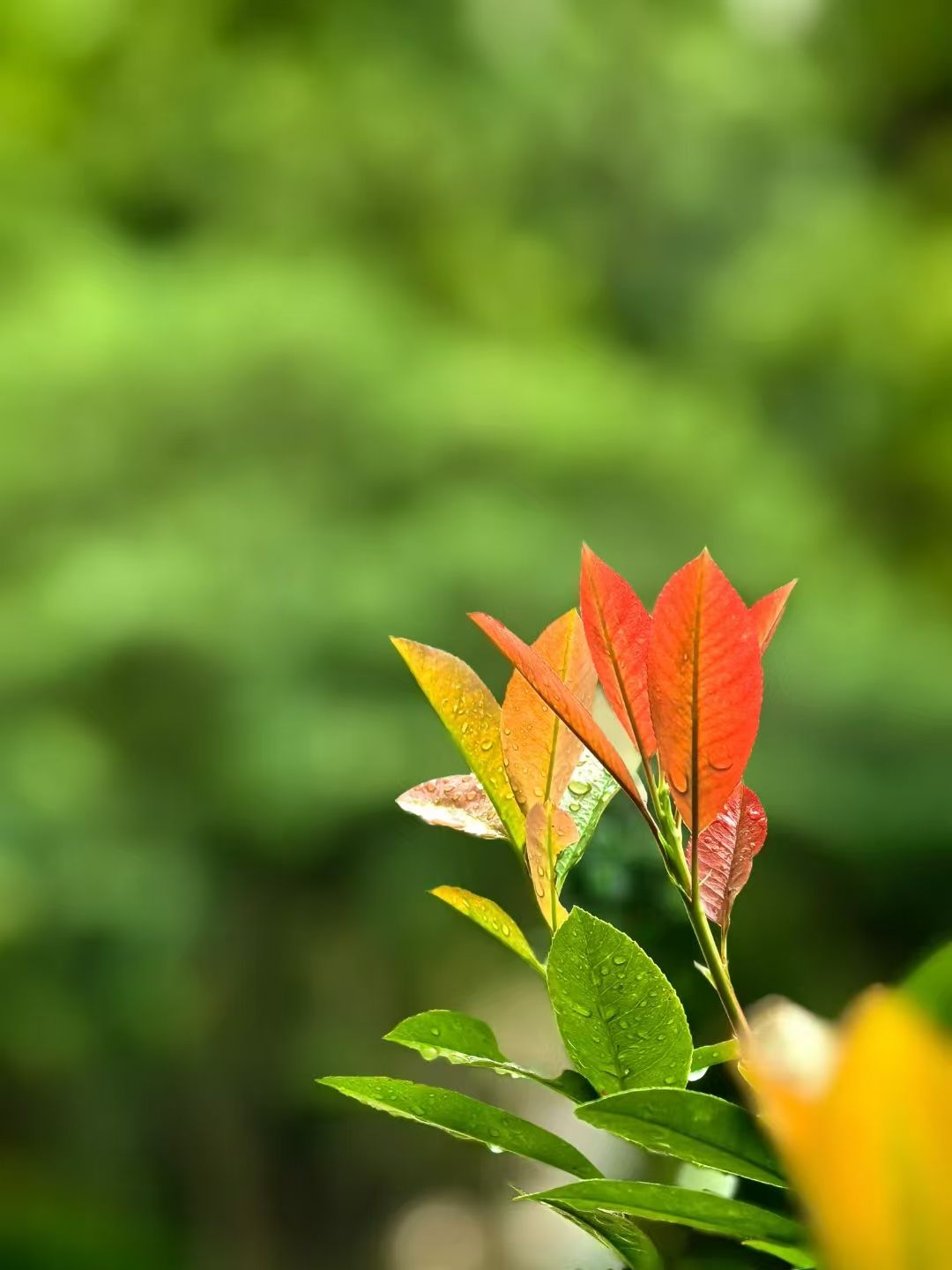 F96DF3A9B1A362231F754BBE0CF_7EDC775C_19EB8 F96DF3A9B1A362231F754BBE0CF_7EDC775C_19EB8